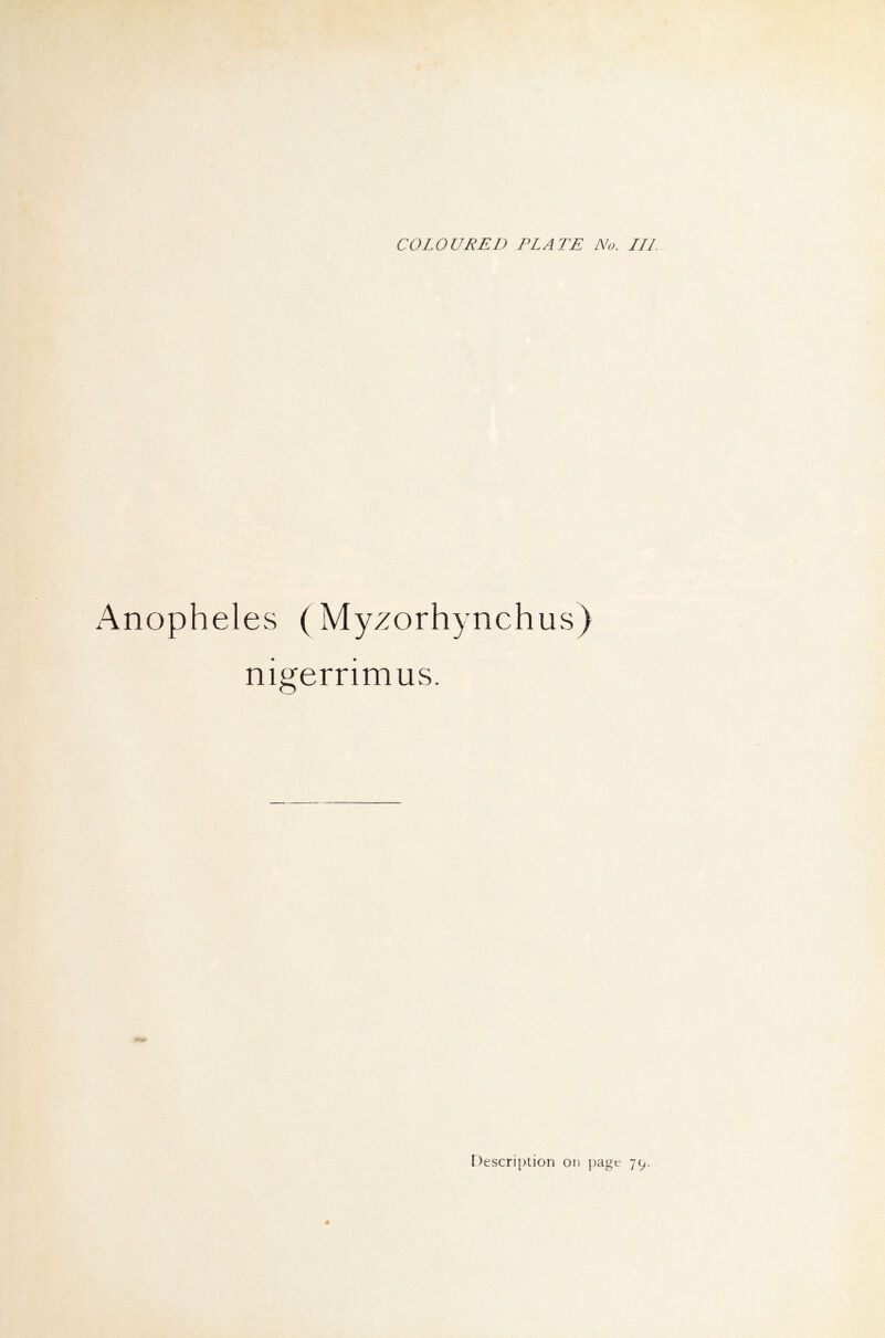 Anopheles (Myzorhynchus) nigerrimus.