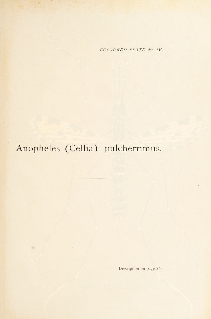 Anopheles (Cellia) pulcherrimus.