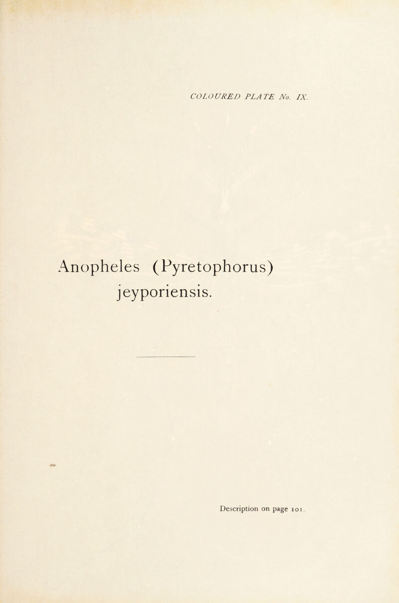 Anopheles (Pyretophorus) jeyporiensis.