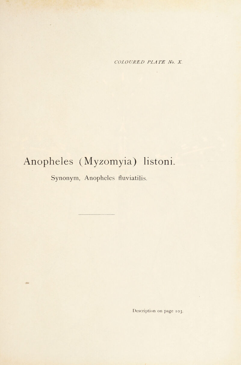 Anopheles (Myzomyia) listoni. Synonym, Anopheles fluviatilis.