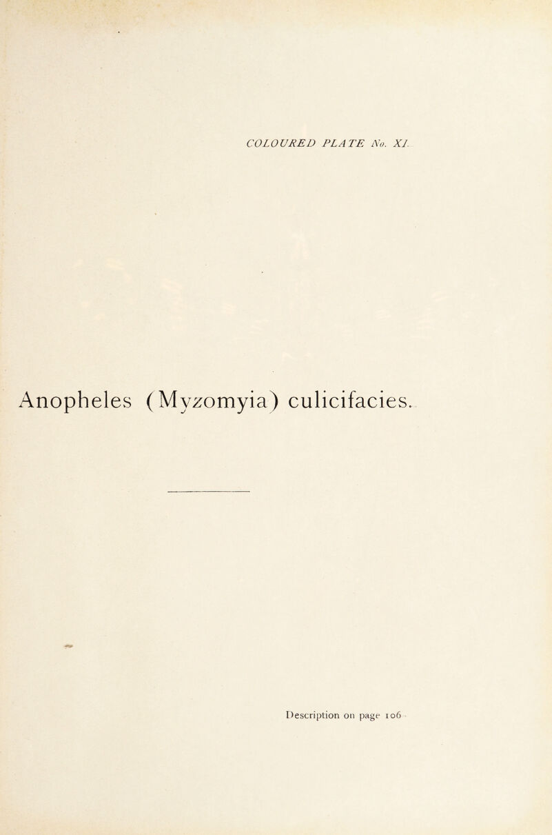 Anopheles (Myzomyia) culicifacies.