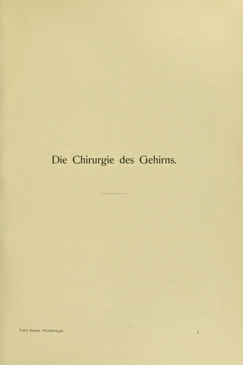 Die Chirurgie des Gehirns. Fedor Krause, Hirnchirurgie.