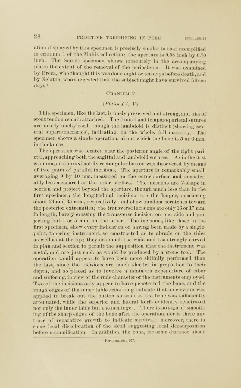 PRIMITIVE TREPHINING IN PERU [ETH. ANN. 16 alioii displayed by this specimen is precisely similar to that exemplified in cranium 1 of the Muniz collection; the aperture is 0.58 inch by 0.70 inch. The Squier specimen shows (obscurely in the accompanying plate) the extent of the removal of the periosteum. It was examined by llroca, who thought this was done eight or ten days before death, and by Nelaton, who suggested that the subject might have survived fifteen days.1 Cranium 2 {Plates IV, V) This specimen, like the last, is finely preserved and strong, and bits of stout tendon remain attached. The frontal and temporo-parietal sutures are nearly anchylosed, though the lambdoid is distinct (showing sev- eral supernumeraries), indicating, on the whole, full maturity. The specimen shows a single operation, about which the bone is 5 or G mm. in thickness. The operation was located near the posterior angle of the right pari- etal, approaching both the sagittal and lambdoid sutures. As in the first cranium, an approximately rectangular button was dissevered by means of two pairs of parallel incisions. The aperture is remarkably small, averaging 9 by 10 mm. measured on the outer surface and consider- ably less measured on the inner surface. The incisions are V-shape in section and project beyond the aperture, though much less than in the first specimen; the longitudinal incisions are the longer, measuring about 20 and 35 mm., respectively, and show random scratches toward the posterior extremities; the transverse incisions are only 16 or 17 mm. in length, barely crossing the transverse incision on one side and pro- jecting but 4 or 5 mm. on the other. The incisions, like those in the first specimen, show every indication of having been made by a single- point, tapering instrument, so constructed as to abrade on the sides as well as at the tip; they are much too wide and too strongly curved in plan and section to permit the supposition that the instrument was metal, and are just such as would be produced by a stone tool. The operation would appear to have been more skilfully performed than the last, since the incisions are much shorter in proportion to their depth, and so placed as to involve a minimum expenditure of labor and suffering, in view of the rude character of the instruments employed. Two of the incisions only appear to have penetrated the bone, and the rough edges of the inner table remaining indicate that an elevator was applied to break out the button so soon as the bone was sufficiently attenuated, while the superior and lateral kerfs evidently penetrated not only the inner table but the meninges. There is no sign of smooth- ing of the sharp edges of the bone after the operation, nor is there any trace of reparative growth to indicate survival; moreover, there is some local discoloration of the skull suggesting local decomposition before mummification. In addition, the bone, for some distance about 1 Peru, op. cit., 577.