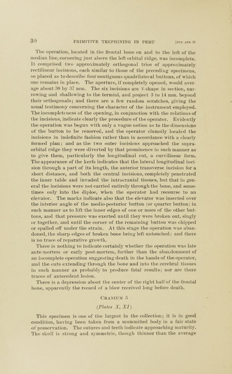 [ETIi. ANN. 10 The operation, located in the frontal bone on and to the left of the median line, cornering just above the left orbital ridge, was incomplete. It, comprised two approximately orthogonal trios of approximately rectilinear incisions, each similar to those of the preceding specimens, so placed as to describe four contiguous quadrilateral buttons, of which one remains in place. The aperture, if completely opened, would aver- age about 30 by 37 mm. The six incisions are V-shape in section, nar- rowing and shallowing to the termini, and project 3 to 14 mm. beyond their orthogonals; and there are a few random scratches, giving the usual testimony concerning the character of the instrument employed. The incompleteness of the opening, in conjunction with the relations of the incisions, indicate clearly the procedure of the operator. Evidently the operation was begun with only a vague notion as to the dimensions of the button to be removed, and the operator clumsily located the incisions in indefinite fashion rather than in accordance with a clearly formed plan; and as the two outer incisions approached the supra- orbital ridge they were diverted by that prominence in such manner as to give them, particularly the longitudinal cut, a curvilinear form. The appearance of the kerfs indicates that the lateral longitudinal inci- sion through a part of its length, the anterior transverse incision for a short distance, and both the central incisions, completely penetrated the inner table and invaded the intracranial tissues, but that in gen- eral the incisions were not carried entirely through the bone, and some- times only into the diploe, when the operator had recourse to an elevator. The marks indicate also that the elevator was inserted over the interior angle of the medio-posterior button (or quarter button) in such manner as to lift the inner edges of one or more of the other but- tons, and that pressure was exerted until they were broken out, singly or together, and until the corner of the remaining button was chipped or spalled off under the strain. At this stage the operation was aban- doned, the sharp edges of broken bone being left untouched; and there is no trace of reparative growth. There is nothing to indicate certainly whether the operation was late ante-mortem or early post-mortem, further than the abandonment of an incomplete operation suggesting death in the hands of the operator, and the cuts extending through the bone and into the cerebral tissues in such manner as probably to produce fatal results; nor are there traces of antecedent lesion. There is a depression about the center of the right half of the frontal bone, apparently the record of a blow received long before death. Cranium 5 (Plates A, XI) This specimen is one of the largest in the collection; it is in good condition, having been taken from a mummified body in a fair state of preservation. The sutures and teeth i ndicate approaching maturity. The skull is strong and symmetric, though thinner than the average