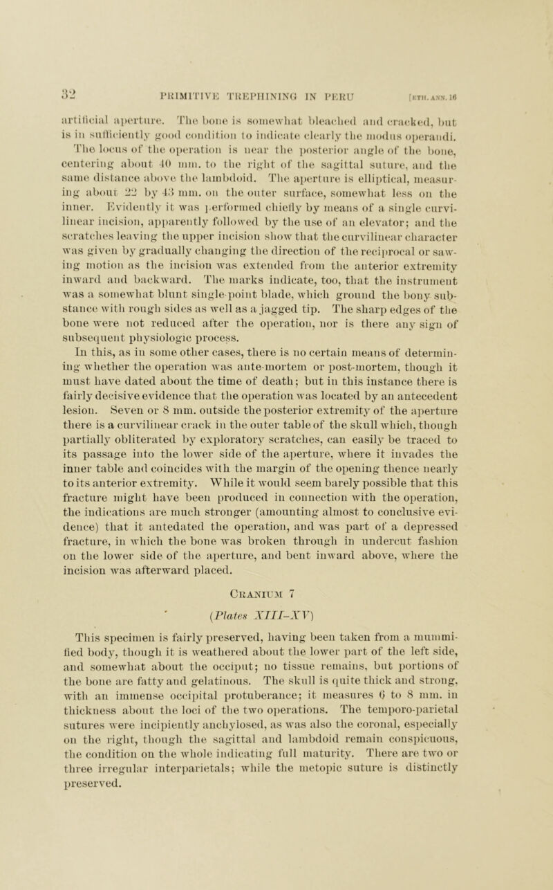 32 artificial aperture. The bone is somewhat bleached and cracked, but is in sufficiently good condition to indicate clearly the modus operandi. The locus of the operation is near the posterior angle of the bone, centering about 40 mm. to the right of the sagittal suture, and the same distance above the lambdoid. The aperture is elliptical, measur- ing about 22 by 43 mm. on the outer surface, somewhat less on the inner. Evidently it was performed chiefly by means of a single curvi- linear incision, apparently followed by the use of an elevator; and the scratches leaving the upper incision show that the curvilinear character was given by gradually changing the direction of the reciprocal or saw- ing motion as the incision was extended from the anterior extremity inward and backward. The marks indicate, too, that the instrument was a somewhat blunt single-point blade, which ground the bony sub- stance with rough sides as well as a jagged tip. The sharp edges of the bone were not reduced after the operation, nor is there any sign of subsequent physiologic process. In this, as in some other cases, there is no certain means of determin- ing whether the operation was ante-mortem or post-mortem, though it must have dated about the time of death; but in this instance there is fairly decisive evidence that the operation w as located by an antecedent lesion. Seven or 8 mm. outside the posterior extremity of the aperture there is a curvilinear crack in the outer table of the skull which, though partially obliterated by exploratory scratches, can easily be traced to its passage into the lower side of the aperture, where it invades the inner table and coincides with the margin of the opening thence nearly to its anterior extremity. While it would seem barely possible that this fracture might have been produced in connection with the operation, the indications are much stronger (amounting almost to conclusive evi- dence) that it antedated the operation, and was part of a depressed fracture, in which the bone was broken through in undercut fashion on the lower side of the aperture, and bent inward above, where the incision was afterward placed. Cranium 7 (Plates XIII-XV) This specimen is fairly preserved, having been taken from a mummi- fied body, though it is weathered about the lower part of the left side, and somewhat about the occiput; no tissue remains, but portions of the bone are fatty and gelatinous. The skull is quite thick and strong, with an immense occipital protuberance; it measures fi to 8 mm. in thickness about the loci of the two operations. The temporo parietal sutures were incipiently anchylosed, as was also the coronal, especially on the right, though the sagittal and lambdoid remain conspicuous, the condition on the whole indicating full maturity. There are two or three irregular interparietals; while the metopic suture is distinctly preserved.