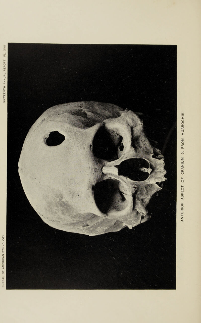 BUREAU OF AMERICAN ETHNOLOGY