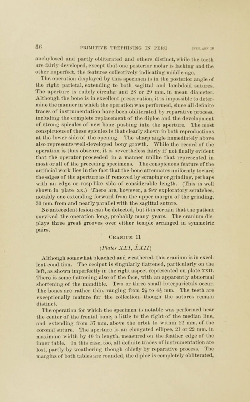 30 anchylosed and partly obliterated and others distinct, while the teeth are fairly developed, except that one posterior molar is lacking and the other imperfect, the features collectively indicating middle age. The operation displayed by this specimen is in the posterior angle of the right parietal, extending to both sagittal and lambdoid sutures. The aperture is rudely circular and 28 or 29 mm. in mean diameter. Although the bone is in excellent preservation, it is impossible to deter- mine the manner in which the operation was performed, since all definite traces of instrumentation have been obliterated by reparative process, including the complete replacement of the diploe and the development of strong spicules of new bone pushing into the aperture. The most conspicuous of these spicules is that clearly shown in both reproductions at the lower side of the opening. The sharp angle immediately above also represents-well-developed bony growth. While the record of the operation is thus obscure, it is nevertheless fairly if not finally evident that the operator proceeded in a manner unlike that represented in most or all of the preceding specimens. The conspicuous feature of the artificial work lies in the fact that the bone attenuates uniformly toward the edges of the aperture as if removed by scraping or grinding, perhaps with an edge or rasp-like side of considerable length. (This is well shown in plate xx.) There are, however, a few exploratory scratches, notably one extending forward from the upper margin of the grinding, 30 mm. from and nearly parallel with the sagittal suture. No antecedent lesion can be detected, but it is certain that the patient survived the operation long, probably many years. The cranium dis- plays three great grooves over either temple arranged in symmetric pairs. Cranium 11 (Plates XXI, XXII) Although somewhat bleached and weathered, this cranium is in excel- lent condition. The occiput is singularly flattened, particularly on the left, as shown imperfectly in the right aspect represented on plate xxii. There is some flattening also of the face, with an apparently abnormal shortening of the mandible. Two or three small interparietals occur. The bones are rather thin, ranging from 2£ to mm. The teeth are exceptionally mature for the collection, though the sutures remain distinct. The operation for which the specimen is notable was performed near the center of the frontal bone, a little to the right of the median line, and extending from 37 mm. above the orbit to within 22 mm. of the coronal suture. The aperture is an elongated ellipse, 21 or 22 mm. in maximum width by' 40 in length, measured on the feather edge ot the inner table. In this case, too, all definite traces of instrumentation are lost, partly by weathering though chiefly by reparative process. The margins of both tables are rounded, the diploe is completely obliterated,