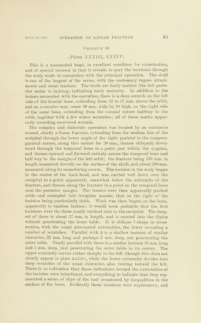 45 Cranium 10 i (.Plates XXXI11, XXXIV) This is a mummified head, in excellent condition for examination, and of special interest in that it reveals in part the incisions through the scalp made in connection with the principal operation. The skull is one of the largest of the series, with the customary rugose attach- ments and stout tendons. The teeth are fairly mature (the left poste- rior molar is lacking), indicating early maturity. In addition to the lesions connected Avitli the operation, there is a deep scratch on the left side of the frontal bone, extending from 32 to 57 nun. above the orbit, and an extensive scar, some 30 nun. wide by 5»> high, on the right side of the same bone, extending from the coronal suture halfway to the orbit, together with a few minor scratches; all of these marks appar- ently recording recovered wounds. The complex and elaborate operation was located by an extensive wound, cliieily a linear fracture, extending from the median line of the occipital through the lower angle of the right parietal to the temporo- parietal suture, along this suture for 20 mm., thence obliquely down- ward through the temporal bone to a point just within the zygoma, and thence upward and forward entirely across the temporal bone and half way to the margin of the left orbit; the fracture'being 155 mm. in length measured directly on the surface of the skull, and about 200 mm. measured along its meandering course. The incision in the scalp began in the center of the back-head, and was carried well down over the occipital to a point apparently somewhat below the extremity of the fracture, and thence along the fracture to a point on the temporal bone near the posterior margin. The tissues were then apparently pushed aside and crumpled into irregular masses, that on the right of the incision being particularly thick. Work was then begun on the bone, apparently in random fashion; it would seem probable that the first incisions were the three nearly vertical cuts in the occipital. The deep- est of these is about 37 mm. in length, and is carried into the diploe without penetrating the inner table. It is oblique V-shape in cross- section, with the usual attenuated extremities, the lower revealing a number of scratches. Parallel with it is a shallow incision of similar character, 22 mm. long and perhaps 2 mm. deep, not penetrating the outer table. Nearly parallel with these is a similar incision 35 mm. long and 3 mm. deep, just penetrating the outer table in its center. The upper extremity curves rather sharply to the left (though this does not clearly appear in plate xxxiv), while the lower extremity divides into deep scratches of the usual character, also veering toward the left. There is no indication that these deflections toward the extremities of the incision were intentional, and everything to indicate that they rep- resented a series of slips of the tool occasioned by inequalities in the surface of the bone. Evidently these incisions were exploratory, and