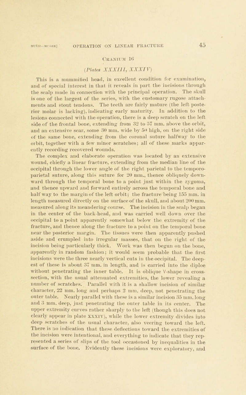 45 Cranium 1G (.Plates XXXI 11, XXXIV) This is a mummified head, in excellent condition for examination, and of special interest in that it reveals in part the incisions through the scalp made in connection with the principal operation. The skull is one of the largest of the series, with the customary rugose attach- ments and stout tendons. The teeth are fairly mature (the left poste- rior molar is lacking), indicating early maturity. In addition to the lesions connected with the operation, there is a deep scratch on the left side of the frontal bone, extending from 32 to 57 mm. above the orbit, and an extensive scar, some 30 mm. wide by 5o high, on the right side of the same bone, extending from the coronal suture halfway to the orbit, together with a few minor scratches; all of these marks appar- ently recording recovered wounds. The complex and elaborate operation was located by an extensive wound, chiefly a linear fracture, extending from the median line of the occipital through the lower angle of the right parietal to the temporo- parietal suture, along this suture for 20 mm., thence obliquely down- ward through the temporal bone to a point just within the zygoma, and thence upward and forward entirely across the temporal bone and halfway to the margin of the left orbit; the fracture being 155 mm. in length measured directly on the surface of the skull, and about 200 mm. measured along its meandering course. The incision in the scalp began in the center of the back-head, and was carried well down over the occipital to a point apparently somewhat below the extremity of the fracture, and thence along the fracture to a point on the temporal bone near the posterior margin. The tissues were then apparently pushed aside and crumpled into irregular masses, that on the right of the incision being particularly thick. Work was then begun on the bone, apparently in random fashion; it would seem probable that the first incisions were the three nearly vertical cuts in the occipital. The deep- est of these is about 37 mm. in length, and is carried into the diploe without penetrating the inner table. It is oblique V-shape in cross- section, with the usual attenuated extremities, the lower revealing a number of scratches. Parallel with it is a shallow incision of similar character, 22 mm. long and perhaps 2 mm. deep, not penetrating the outer table. Nearly parallel with these is a similar incision 35 mm. long and 3 mm. deep, just penetrating the outer table in its center. The upper extremity curves rather sharply to the left (though this does not clearly appear in plate xxxiv), while the lower extremity divides iuto deep scratches of the usual character, also veering toward the left. There is no indication that these deflections toward the extremities of the incision were intentional, and everything to indicate that they rep- resented a series of slips of the tool occasioned by inequalities in the surface of the bone. Evidently these incisions were exploratory, and