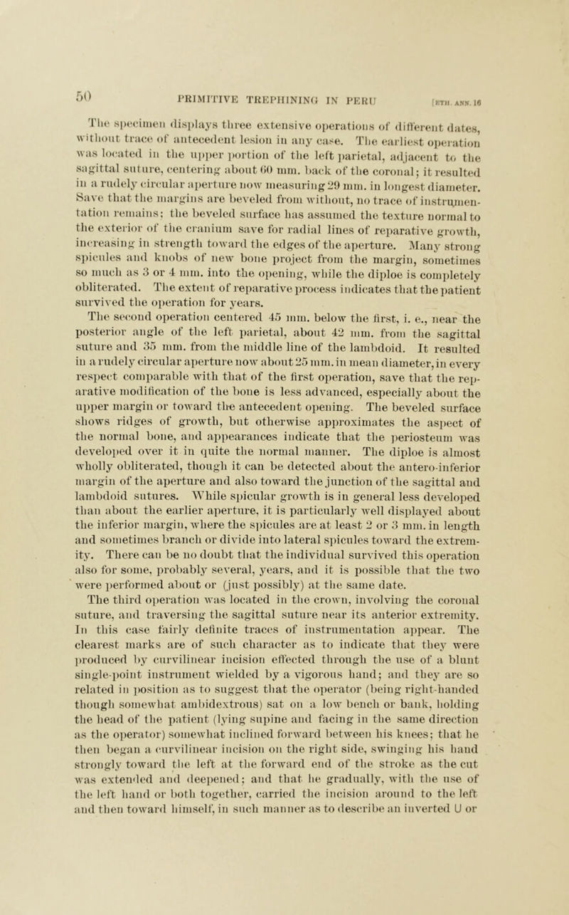 PRIMITIVE TREPHINING IN PERU [KTH. ANN. 16 The specimen displays three extensive operations of different dates, without trace of antecedent lesion in any case. The earliest operation was located in the upper portion of the left parietal, adjacent to the sagittal suture, centering about 60 mm. back of the coronal; it resulted in a rudely circular aperture now measuring29 mm. in longest diameter. Save that the margins are beveled from without, no trace of instrumen- tation remains; the beveled surface has assumed the texture normal to the exterior of the cranium save for radial lines of reparative growth, increasing in strength toward the edges of the aperture. Many strong spicules and knobs of new bone project from the margin, sometimes so much as 3 or 4 mm. into the opening, while the diploe is completely obliterated. The extent of reparative process indicates that the patient survived the operation for years. The second operation centered 45 mm. below the first, i. e., near the posterior angle of the left parietal, about 42 mm. from the sagittal suture and 35 mm. from the middle line of the lambdoid. It resulted in a rudely circular aperture now about 25 mm. in mean diameter, in every respect comparable with that of the first operation, save that the rep- arative modification of the bone is less advanced, especially about the upper margin or toward the antecedent opening. The beveled surface shows ridges of growth, but otherwise approximates the aspect of the normal bone, and appearances indicate that the periosteum was developed over it in quite the normal manner. The diploe is almost wholly obliterated, though it can be detected about the antero inferior margin of the aperture and also toward the junction of the sagittal and lambdoid sutures. While spicular growth is in general less developed than about the earlier aperture, it is particularly well displayed about the inferior margin, where the spicules are at least 2 or 3 mm. in length and sometimes branch or divide into lateral spicules toward the extrem- ity. There can be no doubt that the individual survived this operation also for some, probably several, years, and it is possible that the two were performed about or (just possibly) at the same date. The third operation was located in the crown, involving the coronal suture, and traversing the sagittal suture near its anterior extremity. In this case fairly definite traces of instrumentation appear. The clearest marks are of suck character as to indicate that they were produced by curvilinear incision effected through the use of a blunt single-point instrument wielded by a vigorous hand; and they are so related in position as to suggest that the operator (being right-handed though somewhat ambidextrous) sat on a low bench or bank, bolding the head of the patient (lying supine and facing in the same direction as the operator) somewhat inclined forward between his knees; that he then began a curvilinear incision on the right side, swinging his hand strongly toward the left at the forward end of the stroke as the cut was extended and deepened; and that he gradually, with the use of the left hand or both together, carried the incision around to the left and then toward himself, in such manner as to describe an inverted U or