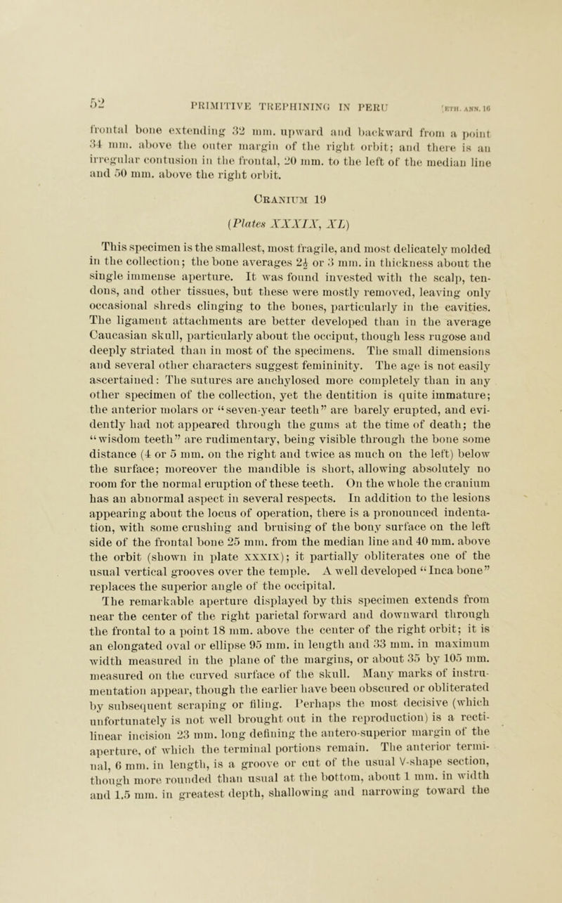 PRIMITIVE TREPHINING IN PERU 'KTH. ANN. 18 frontal bone extending 32 mm. upward and backward from a point 34 mm. above the outer margin of the right orbit; and there is an irregular contusion in the frontal, 20 mm. to the left of the median line and 50 mm. above the right orbit. Cranium 19 {Plates XXXIX, XL) This specimen is the smallest, most fragile, and most delicately molded in the collection; the bone averages or 3 mm. in thickness about the single immense aperture. It was found invested with the scalp, ten- dons, and other tissues, but these were mostly removed, leaving only occasional shreds clinging to the bones, particularly in the cavities. The ligament attachments are better developed than in the average Caucasian skull, particularly about the occiput, though less rugose and deeply striated than in most of the specimens. The small dimensions and several other characters suggest femininity. The age is not easily ascertained: The sutures are anchvlosed more completely than in any other specimen of the collection, yet the dentition is quite immature; the anterior molars or “seven-year teeth” are barely erupted, and evi- dently had not appeared through the gums at the time of death; the “wisdom teeth” are rudimentary, being visible through the bone some distance (4 or 5 mm. on the right and twice as much on the left) below the surface; moreover the mandible is short, allowing absolutely no room for the normal eruption of these teeth. On the whole the cranium has an abnormal aspect in several respects. In addition to the lesions appearing about the locus of operation, there is a pronounced indenta- tion, with some crushing and bruising of the bony surface on the left side of the frontal bone 25 mm. from the median line and 40 mm. above the orbit (shown in plate xxxix); it partially obliterates one of the usual vertical grooves over the temple. A well developed “Inca bone” replaces the superior angle of the occipital. The remarkable aperture displayed by this specimen extends from near the center of the right parietal forward and downward through the frontal to a point 18 mm. above the center of the right orbit; it is an elongated oval or ellipse 95 mm. in length and 33 mm. in maximum width measured in the plane of the margins, or about 35 by 105 mm. measured on the curved surface of the skull. Many marks ot instru- mentation appear, though the earlier have been obscured or obliterated by subsequent scraping or filing. Perhaps the most decisive (which unfortunately is not well brought out in the reproduction) is a recti- linear incision 23 mm. long defining the antero-superior margin of the aperture, of which the terminal portions remain. The anterior termi- nal, 0 mm. in length, is a groove or cut of the usual V-shape section, though more rounded than usual at the bottom, about 1 min. in width and 1.5 mm. in greatest depth, shallowing and narrowing toward the