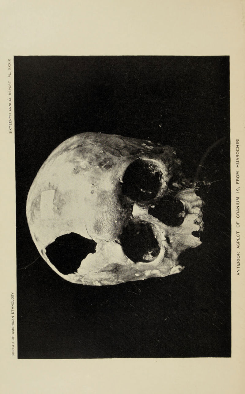 ANTERIOR ASPECT OF CRANIUM 19, FROM HUAROCHIRI