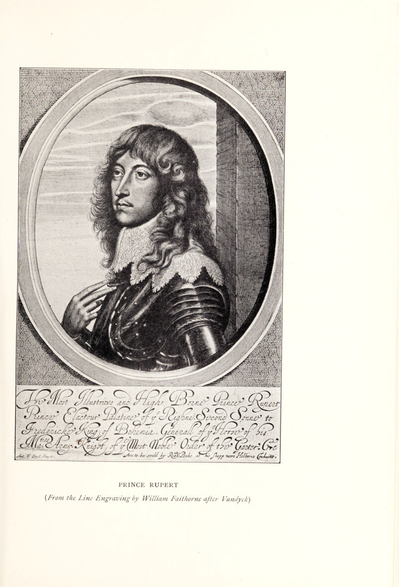 PRINCE RUPERT {From the Line Engraving by William L'aithorne after V'andyck)