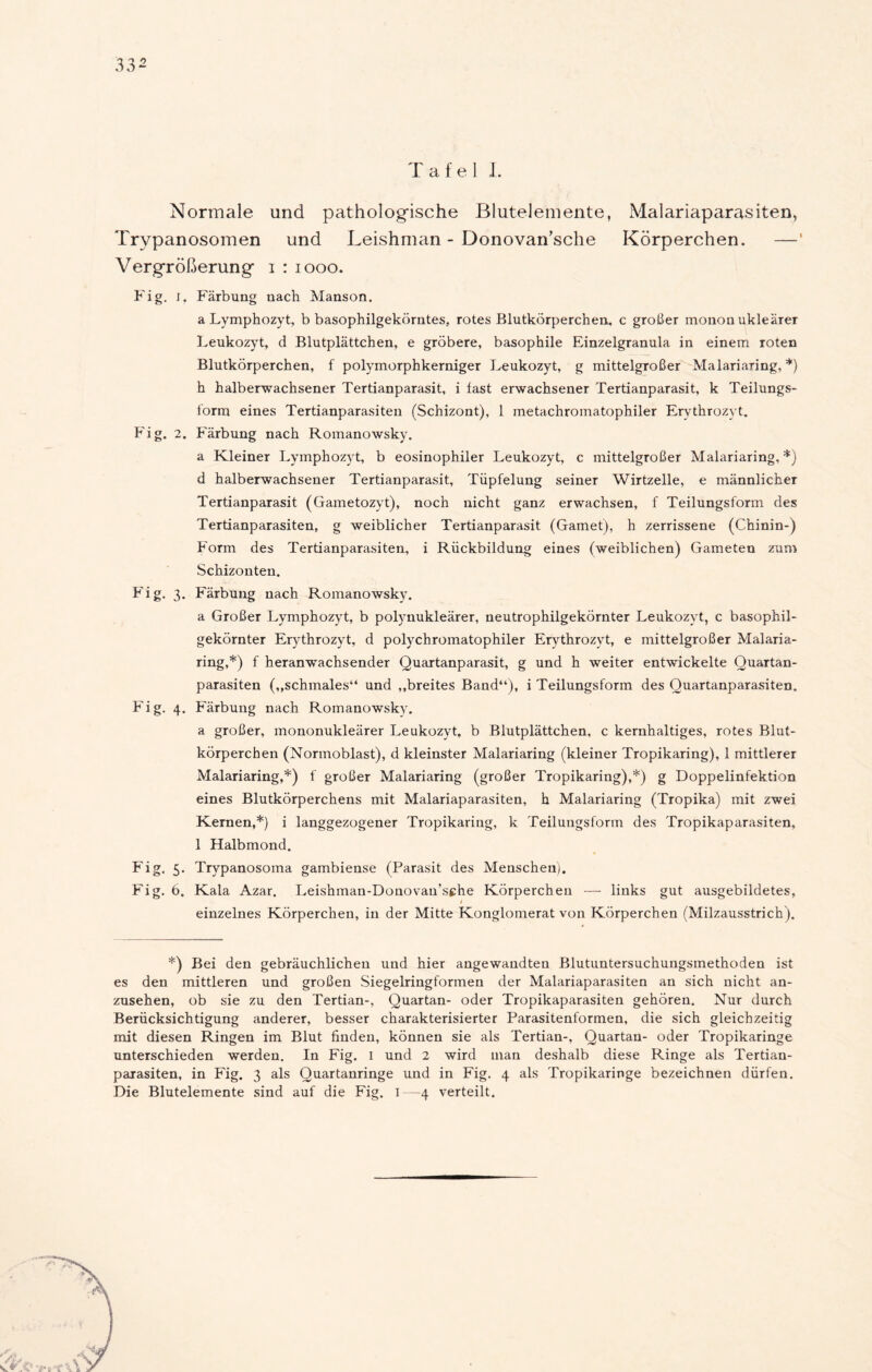 T a f e ] I. Normale und pathologische Blutelemente, Malariaparasiten, Trypanosomen und Leishman - Donovan’sche Körperchen. Vergrößerung i : 1000. Fig. i. Färbung nach Manson. a Lymphozyt, b basophilgekörntes, rotes Blutkörperchen, c großer mononukleärer Leukozyt, d Blutplättchen, e gröbere, basophile Einzelgranula in einem roten Blutkörperchen, f polymorphkerniger Leukozyt, g mittelgroßer Malariaring,*) h halberwachsener Tertianparasit, i fast erwachsener Tertianparasit, k Teilungs- form eines Tertianparasiten (Schizont), 1 metachromatophiler Erythrozyt. Fig. 2. Färbung nach Romanowsky. a Kleiner Lymphozyt, b eosinophiler Leukozyt, c mittelgroßer Malariaring,*) d halberwachsener Tertianparasit, Tüpfelung seiner Wirtzelle, e männlicher Tertianparasit (Gametozyt), noch nicht ganz erwachsen, f Teilungsform des Tertianparasiten, g weiblicher Tertianparasit (Gamet), h zerrissene (Chinin-) Form des Tertianparasiten, i Rückbildung eines (weiblichen) Gameten zum Schizonten. Fig. 3. Färbung nach Romanowsky. a Großer Lymphozyt, b polynukleärer, neutrophilgekörnter Leukozyt, c basophil- gekörnter Erythrozyt, d polychromatophiler Erythrozyt, e mittelgroßer Malaria- ring,*) f heranwachsender Quartanparasit, g und h weiter entwickelte Quartan- parasiten (,»schmales“ und „breites Band“), i Teilungsform des Quartanparasiten. Fig. 4. Färbung nach Romanowsky. a großer, mononukleärer Leukozyt, b Blutplättchen, c kernhaltiges, rotes Blut- körperchen (Normoblast), d kleinster Malariaring (kleiner Tropikaring), 1 mittlerer Malariaring,*) f großer Malariaring (großer Tropikaring),*) g Doppelinfektion eines Blutkörperchens mit Malariaparasiten, h Malariaring (Tropika) mit zwei Kernen,*) i langgezogener Tropikaring, k Teilungsform des Tropikaparasiten, 1 Halbmond. Fig. 5. Trypanosoma gambiense (Parasit des Menschen). Fig. 6. Kala Azar. Leishman-Donovan’sche Körperchen — links gut ausgebildetes, t einzelnes Körperchen, in der Mitte Konglomerat von Körperchen (Milzausstrich). *) Bei den gebräuchlichen und hier angewandten Blutuntersuchungsmethoden ist es den mittleren und großen Siegelringformen der Malariaparasiten an sich nicht an- zusehen, ob sie zu den Tertian-, Quartan- oder Tropikaparasiten gehören. Nur durch Berücksichtigung anderer, besser charakterisierter Parasitenformen, die sich gleichzeitig mit diesen Ringen im Blut finden, können sie als Tertian-, Quartan- oder Tropikaringe unterschieden werden. In Fig. I und 2 wird man deshalb diese Ringe als Tertian- parasiten, in Fig. 3 als Quartanringe und in Fig. 4 als Tropikaringe bezeichnen dürfen. Die Blutelemente sind auf die Fig. I—4 verteilt.