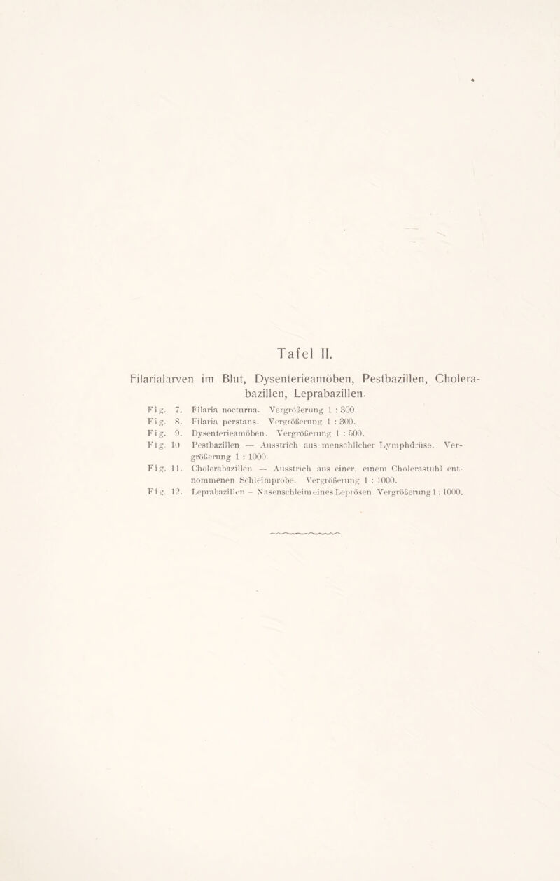 Filarialarven im Blut, Dysenterieamöben, Pestbazillen, Cholera- bazillen, Leprabazillen. Fig. 7. Filaria nocturna. Vergrößerung 1 : 300. Fig. 8. Filaria perstans. Vergrößerung 1:300. Fig. 9. Dysenterieamöben. Vergrößerung 1 : 500. Fig. 10 Pestbazillen — Ausstrich aus menschlicher Lymphdrüse. Ver- größerung 1 : 1000. Fig. 11. Cholerabazillen — Ausstrich aus einer, einem Cholerastuhl ent- nommenen Schleimprobe. Vergrößerung 1 : 1000. Fig. 12. Leprabazi 1 i en — Nasenschleimeines Leprösen. Vergrößerung 1: 1000.