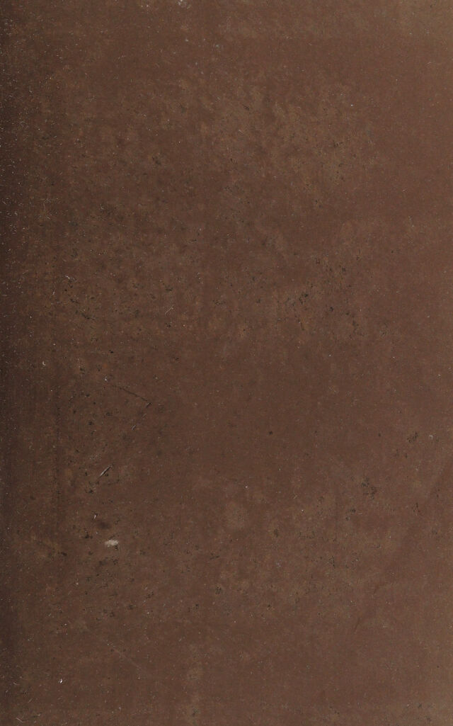 digitised image 3