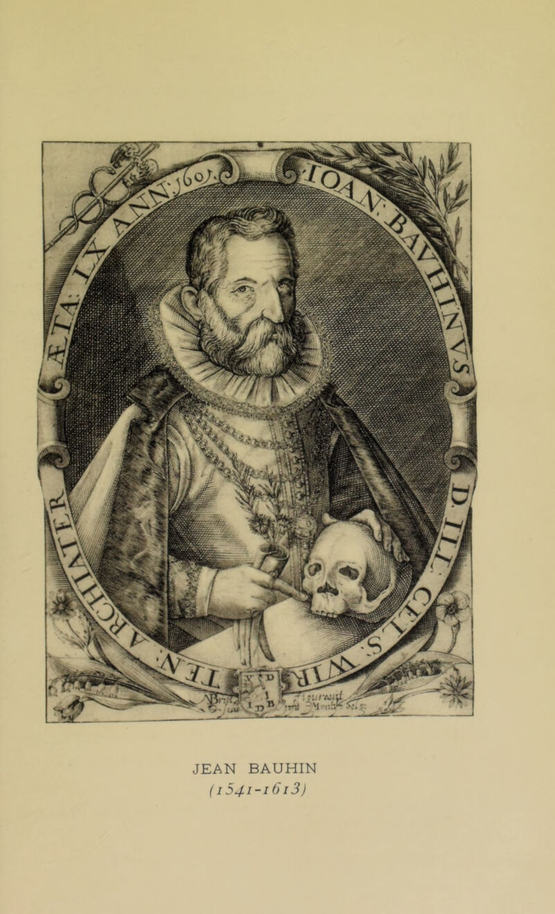 JEAN BAUHIN ( 1541-1613)