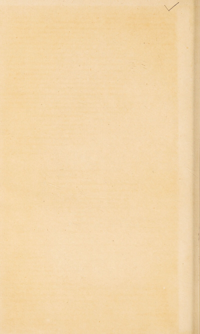 'i ;