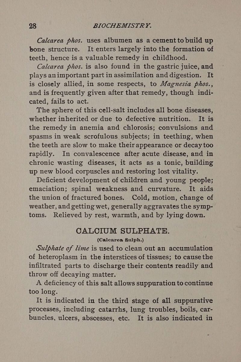 Calcarea phos. uses albumen as a cement to build up bone structure. It enters largely into the formation of teeth, hence is a valuable remedy in childhood. Calcarea phos. is also found in the gastric juice, and plays animportant part in assimilation and digestion. It is closely allied, in some respects, to Magnesia phos., and is frequently given after that remedy, though indi- cated, fails to act. The sphere of this cell-salt includes all bone diseases, whether inherited or due to defective nutrition. It is the remedy in anemia and chlorosis; convulsions and spasms in weak scrofulous subjects; in teething, when the teeth are slow to make their appearance or decay too rapidly. In convalescence after acute disease, and in chronic wasting diseases, it acts as a tonic, building up new blood corpuscles and restoring lost vitality. Deficient development of children and young people; emaciation; spinal weakness and curvature. It aids the union of fractured bones. Cold, motion, change of weather, and getting wet, generally aggravates the symp- toms. Relieved by rest, warmth, and by lying down. CALCIUM SULPHATE. (Calcarea §Sulph.) Sulphate of lime is used to clean out an accumulation of heteroplasm in the interstices of tissues; to cause the infiltrated parts to discharge their contents readily and throw off decaying matter. A deficiency of this salt allows suppuration to continue too long. It is indicated in the third stage of all suppurative processes, including catarrhs, lung troubles, boils, car- buncles, ulcers, abscesses, etc. It is also indicated in
