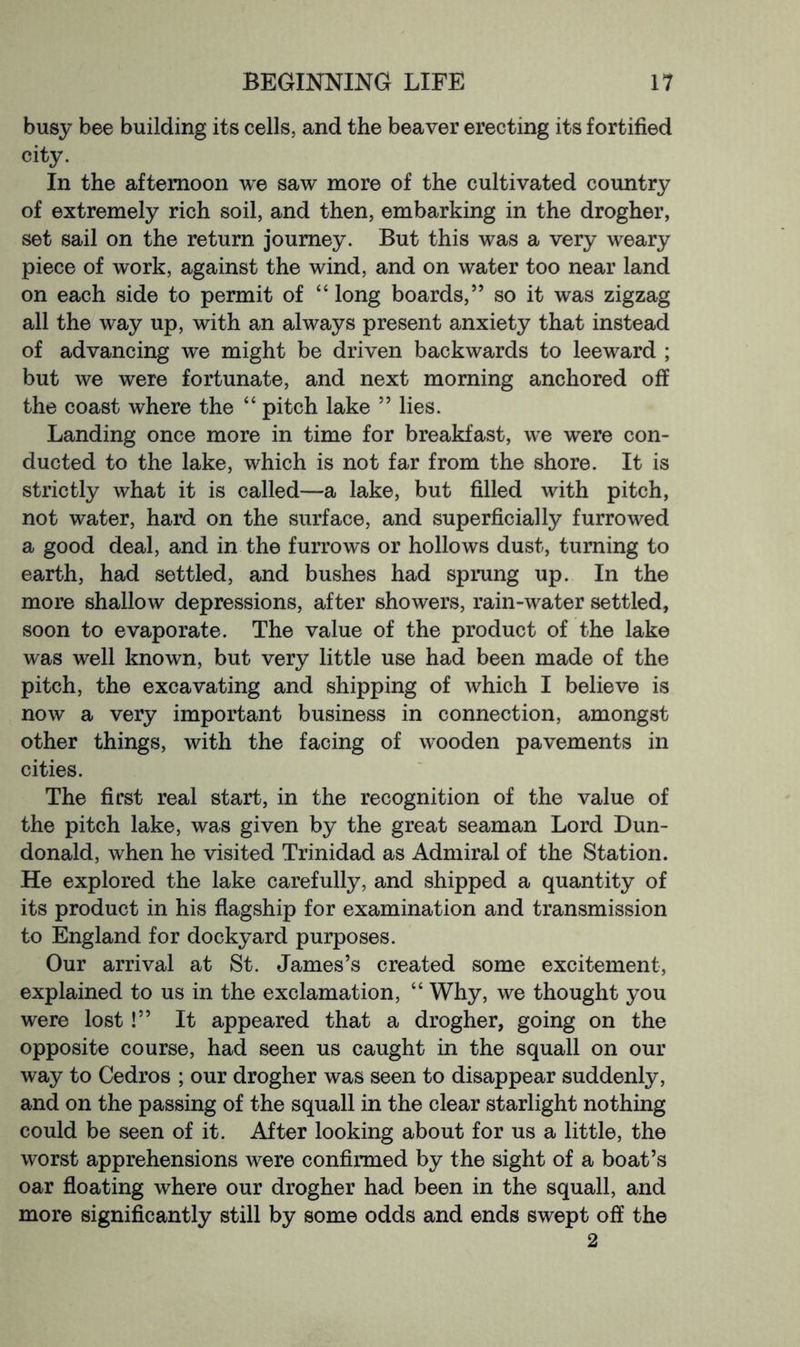busy bee building its cells, and the beaver erecting its fortified city. In the afternoon we saw more of the cultivated country of extremely rich soil, and then, embarking in the drogher, set sail on the return journey. But this was a very weary piece of work, against the wind, and on water too near land on each side to permit of “ long boards,” so it was zigzag all the way up, with an always present anxiety that instead of advancing we might be driven backwards to leeward ; but we were fortunate, and next morning anchored off the coast where the “ pitch lake ” lies. Landing once more in time for breakfast, we were con- ducted to the lake, which is not far from the shore. It is strictly what it is called—a lake, but filled with pitch, not water, hard on the surface, and superficially furrowed a good deal, and in the furrows or hollows dust, turning to earth, had settled, and bushes had sprung up. In the more shallow depressions, after showers, rain-water settled, soon to evaporate. The value of the product of the lake was well known, but very little use had been made of the pitch, the excavating and shipping of which I believe is now a very important business in connection, amongst other things, with the facing of wooden pavements in cities. The first real start, in the recognition of the value of the pitch lake, was given by the great seaman Lord Dun- donald, when he visited Trinidad as Admiral of the Station. He explored the lake carefully, and shipped a quantity of its product in his flagship for examination and transmission to England for dockyard purposes. Our arrival at St. James’s created some excitement, explained to us in the exclamation, “ Why, we thought you were lost!” It appeared that a drogher, going on the opposite course, had seen us caught in the squall on our way to Cedros ; our drogher was seen to disappear suddenly, and on the passing of the squall in the clear starlight nothing could be seen of it. After looking about for us a little, the worst apprehensions were confirmed by the sight of a boat’s oar floating where our drogher had been in the squall, and more significantly still by some odds and ends swept off the 2