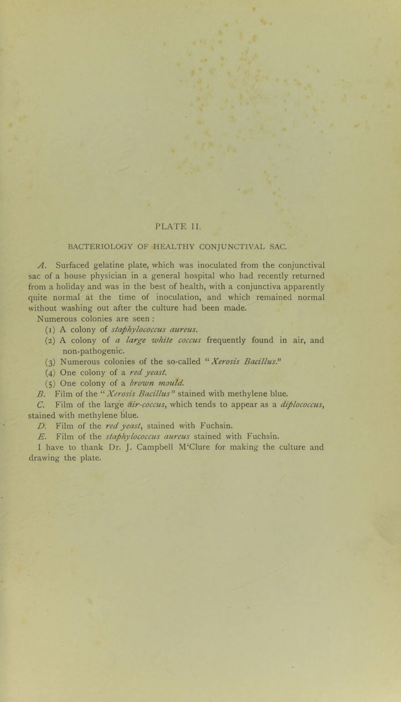 I * %• » ^ PLATE II. BACTERIOLOGY OF HEALTHY CONJUNCTIVAL SAC. A. Surfaced gelatine plate, which was inoculated from the conjunctival sac of a house physician in a general hospital who had recently returned from a holiday and was in the best of health, with a conjunctiva apparently quite normal at the time of inoculation, and which remained normal without washing out after the culture had been made. Numerous colonies are seen : (1) A colony of staphylococcus aureus. (2) A colony of a large white coccus frequently found in air, and non-pathogenic. (3) Numerous colonies of the so-called Xerosis Bacillus.” (4) One colony of a red yeast. (5) One colony of a brown mould. B. Film of the “ Xerosis Bacillus” stained with methylene blue. C. Film of the large Air-coccus, which tends to appear as a diplococcus, stained with methylene blue. D. Film of the red yeast, stained with Fuchsin. E. Film of the staphylococcus aureus stained with Fuchsin. I have to thank Dr. J. Campbell M‘Clure for making the culture and drawing the plate.