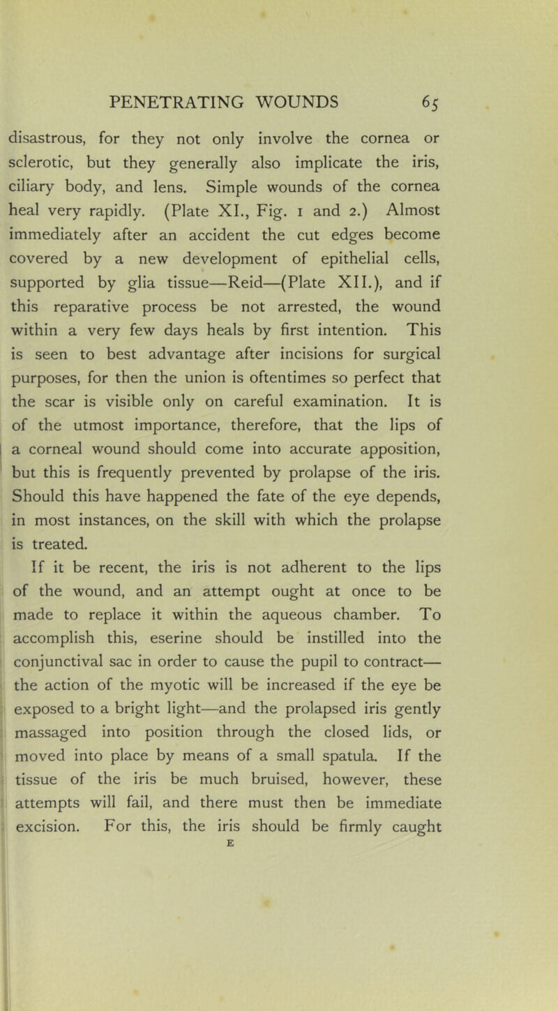 disastrous, for they not only involve the cornea or sclerotic, but they generally also implicate the iris, ciliary body, and lens. Simple wounds of the cornea heal very rapidly. (Plate XL, Fig. i and 2.) Almost immediately after an accident the cut edges become covered by a new development of epithelial cells, supported by glia tissue—Reid—(Plate XII.), and if this reparative process be not arrested, the wound within a very few days heals by first intention. This is seen to best advantage after incisions for surgical purposes, for then the union is oftentimes so perfect that the scar is visible only on careful examination. It is of the utmost importance, therefore, that the lips of a corneal wound should come into accurate apposition, but this is frequently prevented by prolapse of the iris. Should this have happened the fate of the eye depends, in most instances, on the skill with which the prolapse is treated. If it be recent, the iris is not adherent to the lips of the wound, and an attempt ought at once to be made to replace it within the aqueous chamber. To accomplish this, eserine should be instilled into the conjunctival sac in order to cause the pupil to contract— the action of the myotic will be increased if the eye be exposed to a bright light—and the prolapsed iris gently massaged into position through the closed lids, or moved into place by means of a small spatula. If the tissue of the iris be much bruised, however, these attempts will fail, and there must then be immediate excision. For this, the iris should be firmly caught E