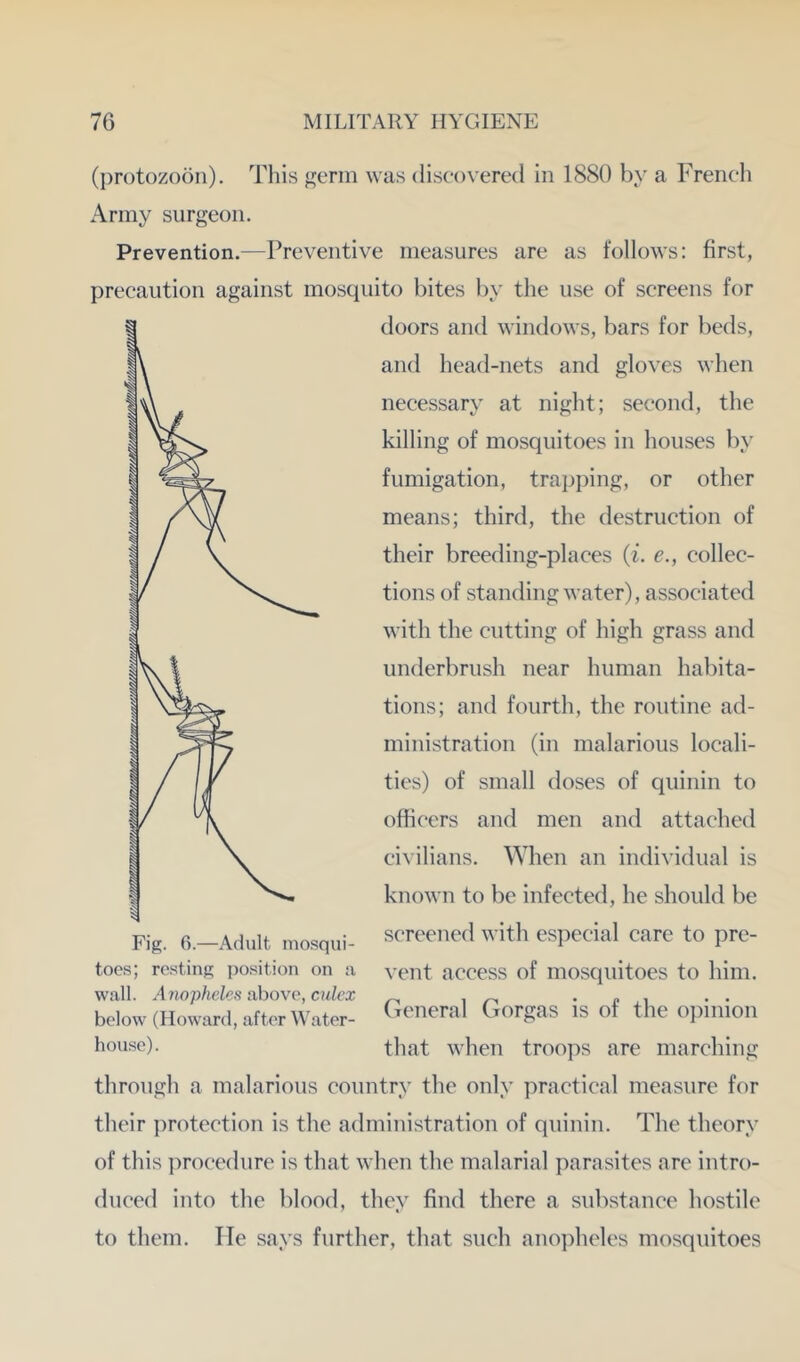 (protozoon). Tliis germ was discovered in 1880 by a French Army surgeon. Prevention.—Preventive measures are as follows: first, precaution against mosquito bites by the use of screens for doors and windows, bars for beds, and head-nets and gloves when necessary at night; second, the killing of mosquitoes in houses by fumigation, traj^ping, or other means; third, the destruction of their breeding-places (i. e., collec- tions of standing water), associated with the cutting of high grass and underbrush near human habita- tions; and fourth, the routine ad- ministration (in malarious locali- ties) of small doses of quinin to officers and men and attached civilians. When an individual is known to be infected, he should be screened with especial care to pre- vent access of mosquitoes to him. General Gorgas is of the opinion that when troops are marching through a malarious country the only practical measure for their protection is the administration of quinin. The theory of this ])rocedure is that when the malarial parasites are intro- duced into the blood, they find there a substance hostile to them. He says further, that such ano])heles mosquitoes toes; rostinp; position on a wall. Anopheles above, culex below (Howard, after Water- house).