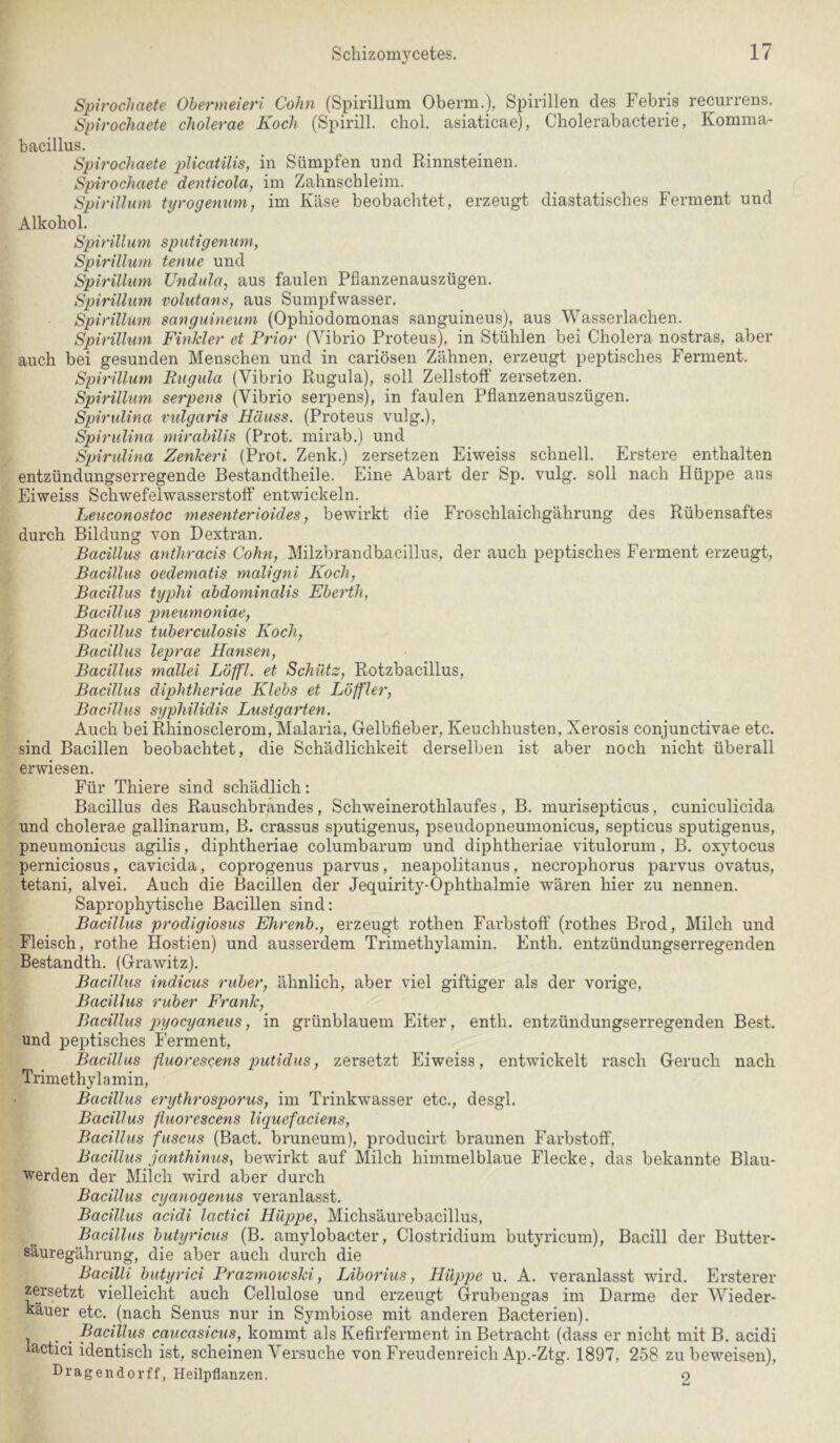 Spit'ocJinete Obermeiet'i Cohn (Spirillum Oberin.), Spirillen des Febris recurrens. Spirochaete cholerae Koch (Spirill. chol. asiaticae), Cholerabacterie, Komina- bacillus. Spirochaete pdicatilis, in Sümpfen und Rinnsteinen. Spirochaete denticola, im Zahnschleiin. Spirillum tyrogenum, im Käse beobachtet, erzeugt diastatisches Ferment und Alkohol. Spirillum sputigenum, Spirillum tenue und Spirillum Undula, aus faulen Pflanzenauszügen. Spirillum volutans, aus Sumpfwasser. Spirillum sanguineum (Ophiodomonas sanguineus), aus Wasserlachen. Spirillum Finkler et Prior (Vibrio Proteus), in Stühlen bei Cholera nostras, aber auch bei gesunden Menschen und in cariösen Zähnen, erzeugt peptisches Ferment. Spirillum Rugula (Vibrio Rugula), soll Zellstoff zersetzen. Spirillum serpens (Vibrio serpens), in faulen Pflanzenauszügen. Spirulina vulgaris Häuss. (Proteus vulg.), Spirulina mirahilis (Prot, mirab.) und Spirulina Zenkeri (Prot. Zenk.) zersetzen Eiweiss schnell. Erstere enthalten entzündungserregende Bestandtheile. Eine Abart der Sp. vulg. soll nach Hüppe aus Eiweiss Schwefelwasserstoff entwickeln. Leuconosfoc mesenterioides, bewirkt die Froschlaichgährung des Rübensaftes durch Bildung von Dextran. Bacillus anthracis Cohn, Milzbrandbacillus, der auch peptisches Ferment erzeugt, Bacillus oedematis maligni Koch, Bacillus typhi abdominalis Eberth, Bacillus pneumoniae, Bacillus tuberculosis Koch, Bacillus leprae Hansen, Bacillus mallei Löffl. et Schütz, Rotzbacillus, Bacillus diphtheriae Klebs et Löffler, Bacillus syphilidis Lustgarten. Auch bei Rhinosclerom, Malaria, Gelbfieber, Keuchhusten, Xerosis conjunctivae etc. sind Bacillen beobachtet, die Schädlichkeit derselben ist aber noch nicht überall erwiesen. Für Thiere sind schädlich: Bacillus des Rauschbrändes, Schweinerothlaufes, B. murisepticus, cuniculicida und cholerae gallinarum, B. crassus sputigenus, pseudopneumonicus, septicus sputigenus, pneumonicus agilis, diphtheriae columbarum und diphtheriae vitulorum, B. oxytocus perniciosus, cavicida, coprogenus parvus, neapolitanus, necroj^horus parvus ovatus, tetani, alvei. Auch die Bacillen der Jequirity-Ophthalmie wären hier zu nennen. Saprophytische Bacillen sind: Bacillus prodigiosus Ehrenb., erzeugt rothen Farbstoff (rothes Brod, Milch und Fleisch, rothe Hostien) und ausserdem Trimethylamin. Enth. entzündungserregenden Bestandth. (Grawitz). Bacillus indicus ruber, ähnlich, aber viel giftiger als der vorige, Bacillus ruber Frank, Bacillus pyocyaneus, in grünblauem Eiter, enth. entzündungserregenden Best, und peptisches Ferment, Bacillus fluorescens p>utidus, zersetzt Eiweiss, entwickelt rasch Geruch nach Trimethylamin, Bacillus erythrosporus, im Trinkwasser etc., desgl. Bacillus fluorescens liquefaciens, Bacillus fuscus (Bact. bruneum), producirt braunen Farbstoff, Bacillus janthinus, bewirkt auf Milch himmelblaue Flecke, das bekannte Blau- werden der Milch wird aber durch Bacillus cyanogenus veranlasst, Bacillus acidi lactici Hüppe, Michsäurebacillus, Bacillus butyriciis (B. amylobacter, Clostridium butyricum), Bacill der Butter- säuregährung, die aber auch durch die Bacilli butyrici Prazmowski, Liborius, Hüppe u. A. veranlasst wird. Ersterer zersetzt vielleicht auch Cellulose und erzeugt Grubengas im Darme der Wieder- käuer etc. (nach Senus nur in Symbiose mit anderen Bacterien). . . Pacillus caucasicus, kommt als Kefirferment in Betracht (dass er nicht mit B. acidi lactici identisch ist, scheinen Versuche von Freudenreich Ap.-Ztg. 1897, 258 zu beweisen), Dragendorff, Heilpflanzen. o