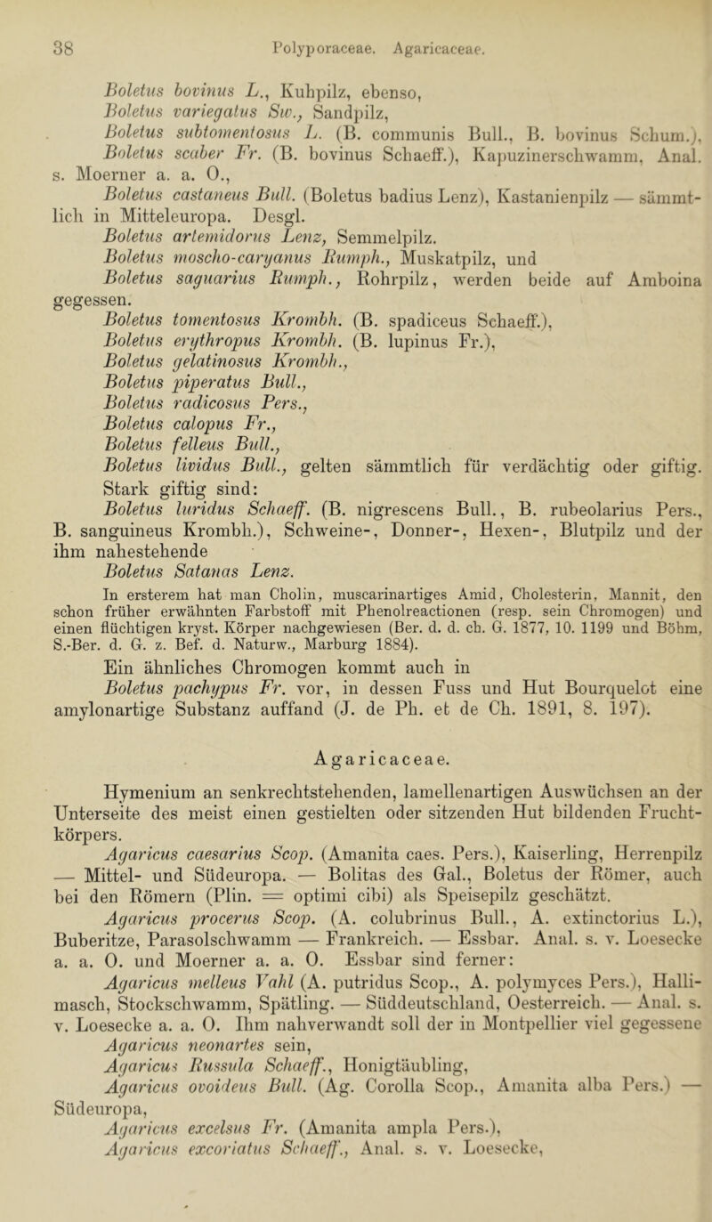 Boletus bovhius L., Kuhpilz, ebenso, Boletus variegatus Sw.^ Sandpilz, Boletus suhtomentosus L. (B. communis Bull., B. bovinus Schum.;, Boletus scaber Fr. (B. bovinus Schaeff.), Ka})uzinerschwamm, Anal, s. Moerner a. a. 0., Boletus castaneus Bull. (Boletus badius Lenz), Kastanienpilz — sämmt- lich in Mitteleuropa. Desgl. Boletus artemidorus Lenz, Semmelpilz. Boletus moscho-caryanus Bumph., Muskatpilz, und Boletus saguarius Bumph., Rohrpilz, werden beide auf Amboina gegessen. Boletus tomentosus Krombh. (B. spadiceus Schaeff.), Boletus erythropus Krombh. (B. lupinus Fr.), Boletus gelatinosus Krombh., Boletus piperatus Bull., Boletus radicosus Pers., Boletus calopus Fr., Boletus felleus Bull., Boletus lividus Bull., gelten sämmtlich für verdächtig oder giftig. Stark giftig sind: Boletus luridus Schaeff. (B. nigrescens Bull., B. rubeolarius Pers., B. sanguineus Krombh.), Schweine-, Donner-, Hexen-, Blutpilz und der ihm nahestehende Boletus Satanas Lenz. In ersterem hat man Cholin, muscarinartiges Amid, Cholesterin, Mannit, den schon früher erwähnten Farbstoff mit Phenolreactionen (resp. sein Chromogen) und einen flüchtigen kr3^st. Körper nachgewiesen (Ber. d. d. ch. G. 1877, 10. 1199 und Böhm, S.-Ber. d. G. z. Bef. d. Naturw., Marburg 1884). Ein ähnliches Chromogen kommt auch in Boletus pachypus Fr. vor, in dessen Fuss und Hut Bourquelot eine amylonartige Substanz auffand (J. de Ph. et de Ch. 1891, 8. 197). Agaricaceae. Hymenium an senkrechtstehenden, lamellenartigen Auswüchsen an der Unterseite des meist einen gestielten oder sitzenden Hut bildenden Frucht- körpers. ÄgaricMs caesarius Scop. (Amanita caes. Pers.), Kaiserling, Herrenpilz — Mittel- und Südeuropa. — Bolitas des Gral., Boletus der Römer, auch bei den Römern (Plin. = optimi cibi) als Speisepilz geschätzt. Agaricus procerus Scop. (A. colubrinus Bull., A. extinctorius L.), Buberitze, Parasolschwamm — Frankreich. — Essbar. Anal. s. v. Loesecke a. a. 0. und Moerner a. a. 0. Essbar sind ferner: Agaricus melleus Vahl (A. putridus Scop., A. polymyces Pers.), Halli- masch, Stockschwamm, Spätling. — Süddeutschland, Oesterreich. — Anal. s. V. Loesecke a. a. 0. Ihm nahverwandt soll der in Montpellier viel gegessene Agaricus neonartes sein, Agaricus Bussula Schaeff., Honigtäubling, Agaricus ovoideus Bidl. (Ag. Corolla Scop., Amanita alba Pers.) — Südeuropa, Agaricus excelsus Fr. (Amanita ampla Pers.), Agaricus excoriatus Schaeff., Anal. s. v. Loesecke,