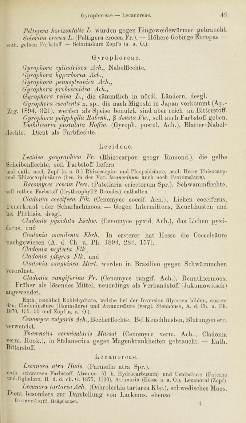 Peltigera horizontalis L. wurden gegen Eingeweidewürmer gebraucht. Soloriiia crocea L. (Peltigera crocea Fr.). — Höhere Gebirge Europas — entb. gelben Farbstoff — Solorinsäure Zopfs (a. a. 0.). Gyrophoreae. GyropJiora cylindriaca Ach., Naheiflechte, Gyropliora hypcrborea Ach., GyropJiora penmylvanica Ach., Gyropliora prohoscoidea Ach., GyropJiora vellea L., die sämmtlich in nördl. Ländern, desgl. Gyrophora escidenta n. sp., die nach Migoshi in Japan vorkommt (Ap.- Ztg. 1894, 321), werden als Speise benutzt, sind aber reich an Bitterstoff. Gyrophora polyphylla RabenJi., ß densta Fiv., soll auch Farbstoff geben. XJmbilicaria pustulata Hoffni. (Gyroph. pustul. Ach.), Blatter-Nabel- fleclite. Dient als Farbflechte. Lecideae. Lecidea geographica Fr. (Rhizocarpon geogr. Ramond.), die gelbe Sclieibenflechte, soll Farbstoff liefern und enth. nach Zopf (a. a. 0.) Ehizocarpin- und PleoiDsidsäure, nach Hesse Ehizocarp- und Ehizocarpinsäure (bes. in der Var. lecanorinum auch noch Psoromsäure). Baeomyces roseus Fers. (Patellaria ericetorum Spr.), Schwammflechte, soll rothen Farbstoff (Erythrophyll? Brandes) enthalten. Cladonia coccifera FlJc. (Cenomyce coccif. Ach.), Lichen cocciferus. Feuerkraut oder Scharlachmoos. — Gegen Intermittens, Keuchhusten und bei Phthisis, desgl. Cladonia pyxidata Eschiv. (Cenomyce i)yxid. Ach.), das Lichen pyxi- datus, und Cladonia manilenta Ebrh. In ersterer hat Hesse die Coccelsäure nachgewiesen (A. d. Ch. u. Ph. 1894, 284. 157). Cladonia neglecta F'Uc., Cladonia pityrea Elle, und Cladonia sanguinea Mart, w^erden in Brasilien gegen Schwämmchen verordnet. Cladonia rangiferina Er. (Cenomyce rangif. Ach.), Rennthiermoos. — Früher als lösendes Mittel, neuerdings als Verbandstoff ( Jakumowitsch) angewendet. Enth. reichlich Kohlehydrate, welche bei der Inversion Glycosen bilden, ausser- dem Cladoninsäure (Usninsäure) und Atranorsäure (vergl. Stenhouse, A. d. Ch, u. Ph. 1870, 155. 50 und Zopf a. a. 0.). Cenomyce vidgaris Ach., Becherflechte. Bei Keuchhusten, Blutungen etc. verwendet. Thamnolia vermicularis Massai (Cenomyce verin. Ach., Cladonia verm. Hook.), in Südamerica gegen Magenkrankheiten gebraucht. — Enth. Bitterstoff. Lecanoreae. Lecanora atra Huds. (Parmelia atra S])!*.), enth. schwarzen Farbstoff, Atranor- (d. h. Hydrocarbusnin) und Usninsäure (Paterno und Oglialoro, B. d. d. ch. G. 1877, 1100), Atranorin (Hesse a, a. 0.), Lecanoral (Zopf). Lecanora tartareaAch. (Ochrolechia tartarea Kbr.), schwedisches Moos. Dient besonders zur Darstellung von Lackmus, ebenso Dragendorff, Heilpflanzen. 4