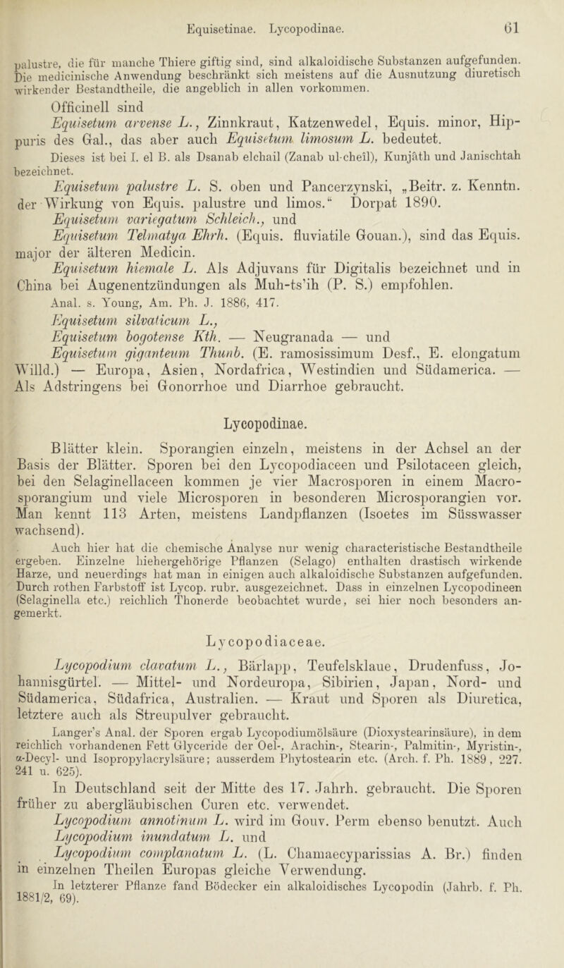 Equisetinae. Lycopodinae. Gl palustre, die für manche Thiere giftig sind, sind alkaloidische Substanzen aufgefunden. Die medicinische Anwendung beschränkt sich meistens auf die Ausnutzung diuretisch wirkender Bestandtheile, die angeblich in allen verkommen. Officinell sind Eqiiisetum arvense L., Zinnkraut, Katzenwedel, Equis. minor, Hij)- puris des Gal., das aber auch Equisetwn limosum L. bedeutet. Dieses ist bei I. el B. als Dsanab elchail (Zanab ul-cheil), Kunjäth und Janischtah bezeichnet. Equisetum palustre L. S. oben und Pancerzynski, „Beitr. z. Kenntn. der Wirkung von Equis. palustre und limos.“ Dorpat 1890. Equisetum variegatum Schleich., und Equisetum Telmatya Ehrh. (Equis. fluviatile Gouan.), sind das Equis. major der älteren Medicin. Equisetum hiemale L. Als Adjuvans für Digitalis bezeichnet und in China bei Augenentzündungen als Muh-ts’ih (P. S.) empfohlen. Anal. s. Young, Am. Ph. J. 1886, 417. Equisetum silvaticum L., Equisetum hogotense Kth. — Neugranada — und Equisetum giganteum Thunh. (E. ramosissimum Desf., E. elongatum Willd.) — Euro])a, Asien, Nordafrica, Westindien und Südamerica. — Als Adstringens bei Gonorrhoe und Diarrhoe gebraucht. Lycopodinae. Blätter klein. Sporangien einzeln, meistens in der Achsel an der Basis der Blätter. Sporen bei den Lycopodiaceen und Psilotaceen gleich, bei den Selaginellaceen kommen je vier Macrosporen in einem Macro- sporangium und viele Microsporen in besonderen Microsporangien vor. Man kennt 113 Arten, meistens Landpflanzen (Isoetes im Süsswasser wachsend). Auch hier hat die chemische Analyse nur wenig characteristische Bestandtheile ergeben. Einzelne hiehergehörige Pflanzen (Selago) enthalten drastisch wirkende Harze, und neuerdings hat man in einigen auch alkaloidische Substanzen aufgefunden. Durch rothen Farbstoff ist Lycop. rubr. ausgezeichnet. Dass in einzelnen Lycopodineen (Selaginella etc.) reichlich Thonerde beobachtet wurde, sei hier noch besonders an- gemerkt. Ly copodiaceae. Lycopodium clavatum L., Bärlapp, Teufelsklaue, Drudenfuss, Jo- haimisgürtel. — Mittel- und Nordeuropa, Sibirien, Japan, Nord- und Südamerica, Südafrica, Australien. ■— Kraut und S])oren als Diuretica, letztere auch als Streu])ulver gebraucht. Langer’s Anal, der Sporen ergab Lycopodiumölsäure (Dioxystearinsäure), in dem reichlich vorhandenen Fett Glyceride der Oel-, Arachin-, Stearin-, Palmitin-, Myristin-, a-Decyl- und Isopropylacrylsäure; ausserdem Phytostearin etc. (Arch. f. Ph. 1889, 227. 241 u. 625). In Deutschland seit der Mitte des 17. Jahrh. gebraucht. Die Si)oren früher zu abergläubischen Curen etc. verwendet. Lycopodium annotinum L. wird im Gouv. Perm ebenso benutzt. Auch Lycopodium inmidatum L. und Lycopodium complanatum L. (L. Cliamaecyparissias A. Br.) finden in einzelnen Tlieilen Europas gleiche Verwendung. In letzterer Pflanze fand Bödecker ein alkaloidisches Lycopodin (Jahrb. f. Ph 1881/2, 69).