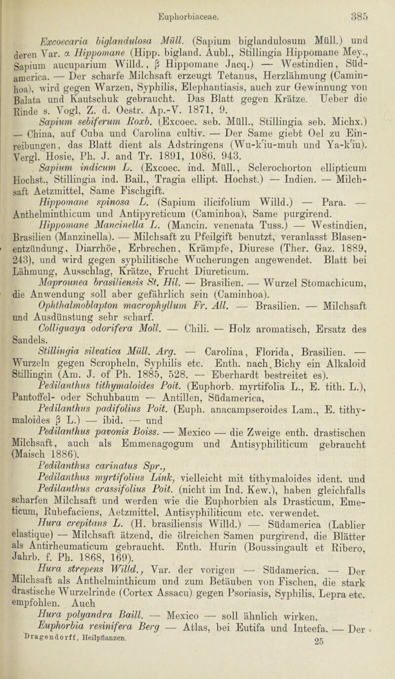 Excoecaria higlandulosa Müll. (Sapium biglandulosum Müll.) und deren Var. a Hipponiane (Hipp, bigland. Aubl., Stillingia Hippomane Mey., Sapium aucuparium Willd., ß Hippomane Jacq.) — Westindien, Süd- aiiierica. — Der scharfe Milchsaft erzeugt Tetanus, Herzlähmung (Camin- hoa), wird gegen Warzen, Syphilis, Elephantiasis, auch zur Gewinnung von Balata und Kautschuk gebraucht. Das Blatt gegen Krätze. Heber die Rinde s. Vogl, Z. d. Oestr. Ap.-V. 1871, 9. Sapium sebiferum Roxh. (Excoec. seb. Müll., Stillingia seb. Michx.) — China, auf Cuba und Carolina cultiv. — Der Same giebt Del zu Ein- reibungen, das Blatt dient als Adstringens (Wu-k'iu-muh und Ya-km). Vergl. Hosie, Ph. J. and Tr. 1891, 1086. 943. . Sapium indicum L. (Excoec. ind. Müll., Sclerochorton ellipticum Höchst., Stillingia ind. Bail., Tragia ellipt. Höchst.) — Indien. — Milch- saft Aetzmittel, Same Fischgift. Hippomane spinosa L. (Sapium ilicifolium Willd.) — Para. — Anthelminthicum und Antipyreticum (Caminhoa), Same purgirend. Hippomane Mancinella L. (Mancin. venenata Tuss.) — Westindien, Brasilien (Manzinella). — Milchsaft zu Pfeilgift benutzt, veranlasst Blasen- entzündung, Diarrhöe, Erbrechen, Krämpfe, Diurese (Ther. Gaz. 1889, 243), und wird gegen syphilitische Wucherungen angewendet. Blatt bei Lähmung, Ausschlag, Krätze, Frucht Diureticum. Maprounea hrasiliensis St, HU. — Brasilien. — Wurzel Stomachicum, die Anwendung soll aber gefährlich sein (Caminhoa). Ophthalmohlapton macrophyllum Fr. All. — Brasilien. — Milchsaft und Ausdünstung sehr scharf. Colliguaya odorifera Moll. — Chili. — Holz aromatisch, Ersatz des Sandeis. Stillingia silvatica Müll. Arg. — Carolina, Florida, Brasilien. — Wurzeln gegen Scropheln, Syphilis etc. Enth. nach.Bichy ein Alkaloid Stillingin (Am. J. of Ph. 1885, 528. — Eberhardt bestreitet es). Fedilanthus tithymaloides Poit. (Euphorb. myrtifolia L., E. tith. L.), Pantoffel- oder Schuhbaum — Antillen, Südamerica, Fedilanthus padifolius Foit. (Euph. anacampseroides Lam., E. tithy- maloides ß L.) — ibid. — und Fedilanthus pavonis Boiss. — Mexico — die Zweige enth. drastischen Milchsaft, auch als Emmenagogum und Antisyphiliticum gebraucht (Maisch 1886). Fedilanthus carinatus Spr., Fedilanthus myrtifolius Link, vielleicht mit tithymaloides ident, und Fedilanthus crassifolius Poit. (nicht im Ind. Kew.), haben gleichfalls scharfen Milchsaft und werden wie die Euphorbien als Drasticum, Eme- ticum, Rubefaciens, Aetzmittel, Antisyphiliticum etc. verwendet. Hura crepitans L. (H. brasiliensis Willd.) — Südamerica (Lablier elastique) — Milchsaft ätzend, die ölreichen Samen purgirend, die Blätter als Antirheumaticum gebraucht. Enth. Hurin (Boussingault et Ribero Jahrb. f. Ph. 1868, 169). Hura strepens Willd., Var. der vorigen — Südamerica. — Der Milchsaft als Anthelminthicum und zum Betäuben von Fischen, die stark drastische Wurzelrinde (Cortex Assacu) gegen Psoriasis, Syphilis, Lepra etc. empfohlen. Auch Hura polyandra Baill. — Mexico — soll ähnlich wirken. Euphorhia resinifera Berg — Atlas, bei Eutifa und Inteefa. — Der . Dragendorff, Heilpflanzen. 9k