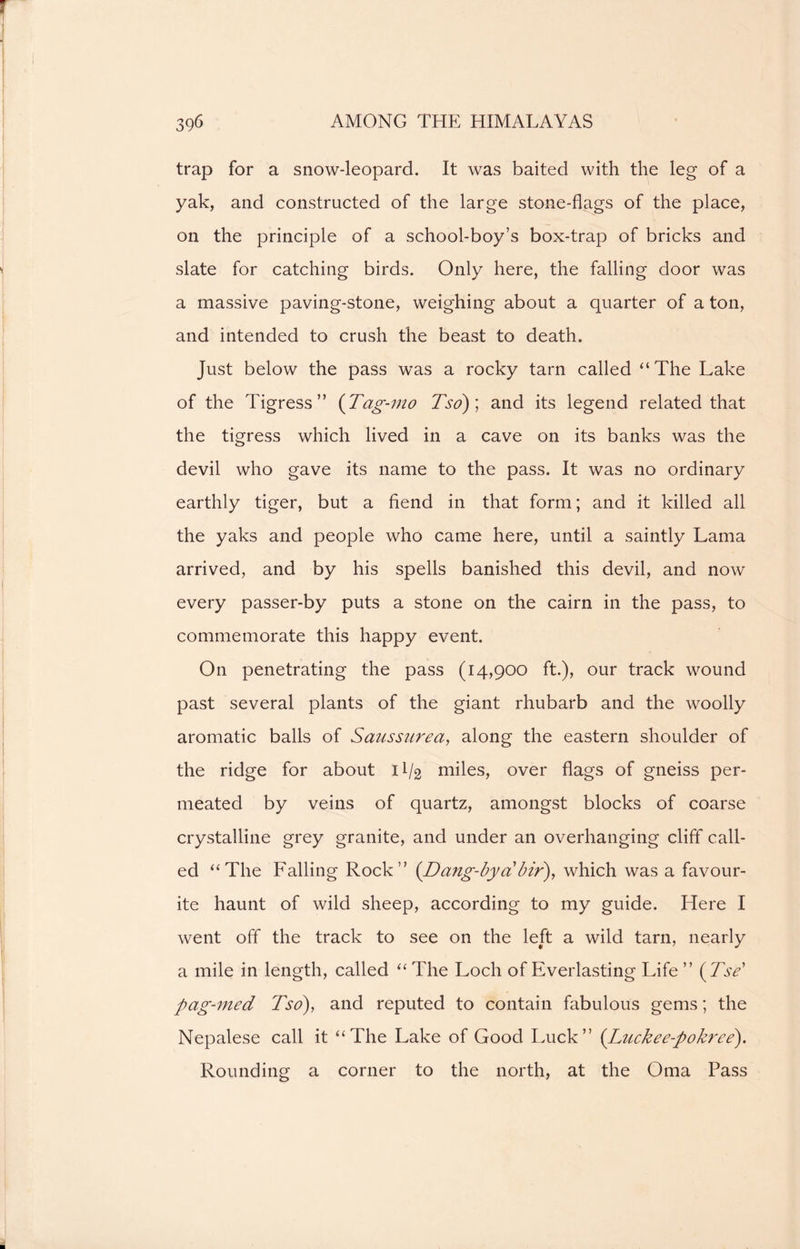 trap for a snow-leopard. It was baited with the leg of a yak, and constructed of the large stone-flags of the place, on the principle of a school-boy’s box-trap of bricks and slate for catching birds. Only here, the falling door was a massive paving-stone, weighing about a quarter of a ton, and intended to crush the beast to death. Just below the pass was a rocky tarn called “ The Lake of the Tigress” (Tag-mo Tso); and its legend related that the tigress which lived in a cave on its banks was the devil who gave its name to the pass. It was no ordinary earthly tiger, but a fiend in that form; and it killed all the yaks and people who came here, until a saintly Lama arrived, and by his spells banished this devil, and now every passer-by puts a stone on the cairn in the pass, to commemorate this happy event. On penetrating the pass (14,900 ft.), our track wound past several plants of the giant rhubarb and the woolly aromatic balls of Saussurea, along the eastern shoulder of the ridge for about 1I/2 miles, over flags of gneiss per- meated by veins of quartz, amongst blocks of coarse crystalline grey granite, and under an overhanging cliff call- ed “The Falling Rock” (Dang-bydbir), which was a favour- ite haunt of wild sheep, according to my guide. Here I went off the track to see on the left a wild tarn, nearly a mile in length, called “ The Loch of Everlasting Life ” (Tse' pag-nied Tso), and reputed to contain fabulous gems; the Nepalese call it “The Lake of Good Luck” (Luckee-pokree). Rounding a corner to the north, at the Oma Pass