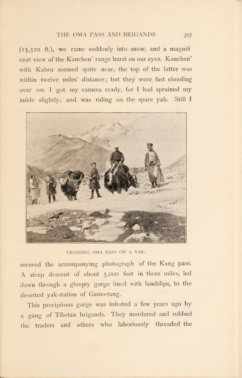 (15,320 ft.), we came suddenly into snow, and a magnifi cent view of the Kanchen’ range burst on our eyes. Kanchen’ with Kabru seemed quite near, the top of the latter was within twelve miles’ distance; but they were fast clouding over ere I got my camera ready, for I had sprained my ankle slightly, and was riding on the spare yak. Still I CROSSING OMA PASS ON A YAK. secured the accompanying photograph of the Kang pass. A steep descent of about 3,000 feet in three miles, led down through a gloomy gorge lined with landslips, to the deserted yak-station of Gamo-tang. This precipitous gorge was infested a few years ago by a gang of Tibetan brigands. They murdered and robbed the traders and others who laboriously threaded the