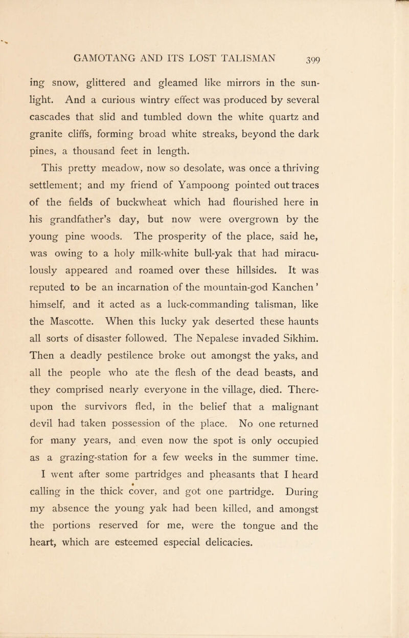 GAMOTANG AND ITS LOST TALISMAN mg snow, glittered and gleamed like mirrors in the sun- light. And a curious wintry effect was produced by several cascades that slid and tumbled down the white quartz and granite cliffs, forming broad white streaks, beyond the dark pines, a thousand feet in length. This pretty meadow, now so desolate, was once a thriving settlement; and my friend of Yampoong pointed out traces of the fields of buckwheat which had flourished here in his grandfather’s day, but now were overgrown by the young pine woods. The prosperity of the place, said he, was owing to a holy milk-white bull-yak that had miracu- lously appeared and roamed over these hillsides. It was reputed to be an incarnation of the mountain-god Kanchen ’ himself, and it acted as a luck-commanding talisman, like the Mascotte. When this lucky yak deserted these haunts all sorts of disaster followed. The Nepalese invaded Sikhim. Then a deadly pestilence broke out amongst the yaks, and all the people who ate the flesh of the dead beasts, and they comprised nearly everyone in the village, died. There- upon the survivors fled, in the belief that a malignant devil had taken possession of the place. No one returned for many years, and even now the spot is only occupied as a grazing-station for a few weeks in the summer time. I went after some partridges and pheasants that I heard « calling in the thick cover, and got one partridge. During my absence the young yak had been killed, and amongst the portions reserved for me, were the tongue and the heart, which are esteemed especial delicacies.