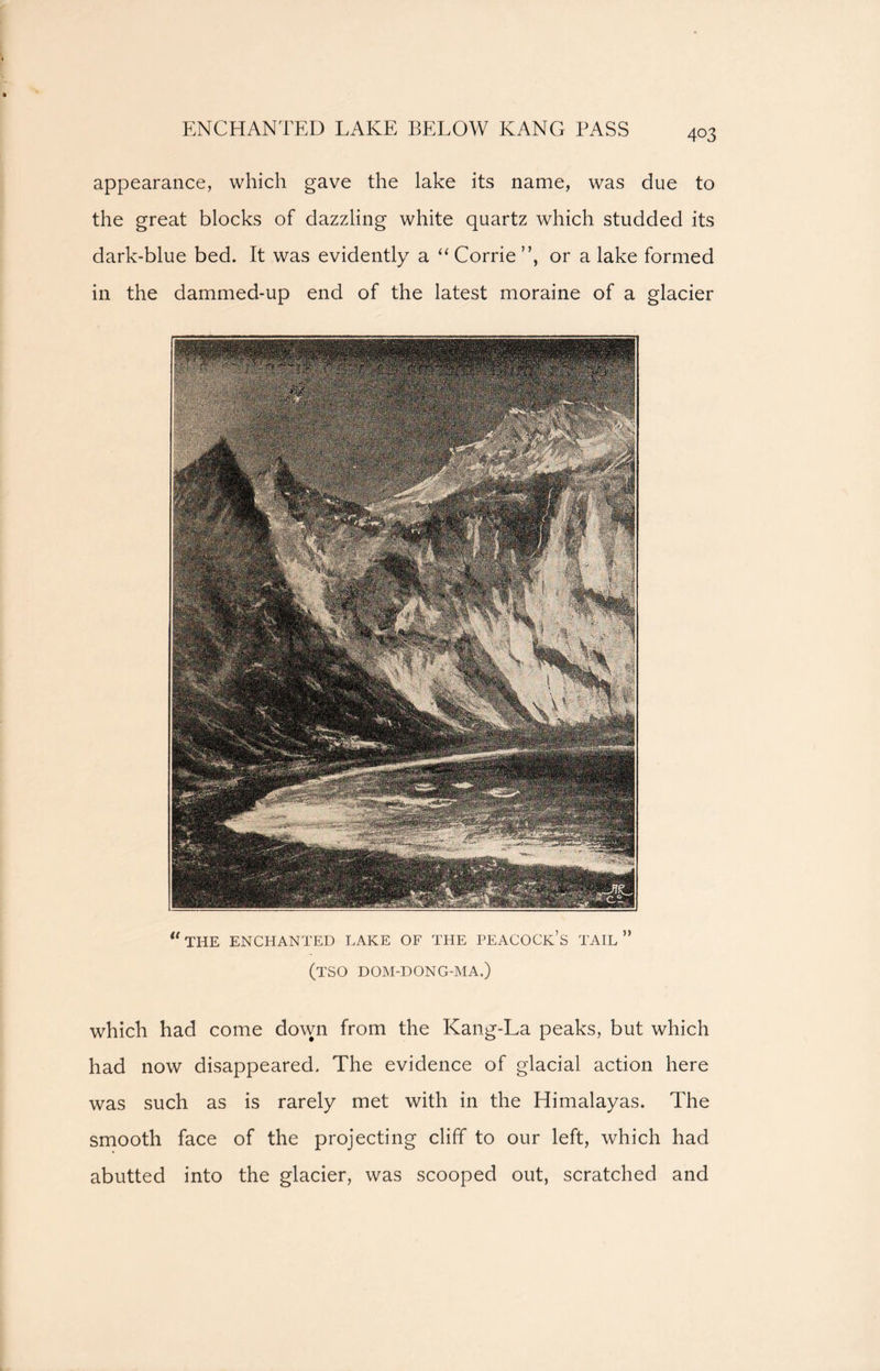 ENCHANTED LAKE BELOW KANG PASS appearance, which gave the lake its name, was due to the great blocks of dazzling white quartz which studded its dark-blue bed. It was evidently a “ Corrie ”, or a lake formed in the dammed-up end of the latest moraine of a glacier the enchanted lake of the peacock’s tail” (tso dom-dong-ma.) which had come down from the Kang-La peaks, but which had now disappeared. The evidence of glacial action here was such as is rarely met with in the Himalayas. The smooth face of the projecting cliff to our left, which had abutted into the glacier, was scooped out, scratched and