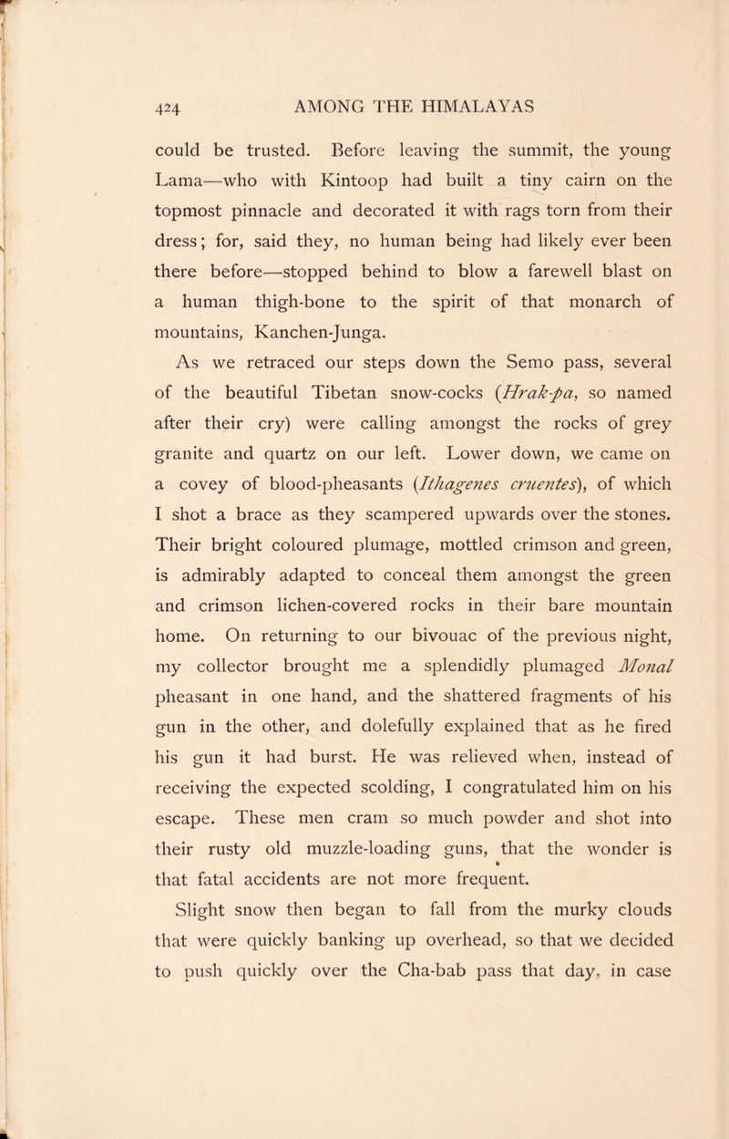 could be trusted. Before leaving the summit, the young Lama—who with Kintoop had built a tiny cairn on the topmost pinnacle and decorated it with rags torn from their dress; for, said they, no human being had likely ever been there before—stopped behind to blow a farewell blast on a human thigh-bone to the spirit of that monarch of mountains, Kanchen-Junga. As we retraced our steps down the Semo pass, several of the beautiful Tibetan snow-cocks (Hrak-pa, so named after their cry) were calling amongst the rocks of grey granite and quartz on our left. Lower down, we came on a covey of blood-pheasants (Ithagenes ententes), of which I shot a brace as they scampered upwards over the stones. Their bright coloured plumage, mottled crimson and green, is admirably adapted to conceal them amongst the green and crimson lichen-covered rocks in their bare mountain home. On returning to our bivouac of the previous night, my collector brought me a splendidly plumaged Monal pheasant in one hand, and the shattered fragments of his gun in the other, and dolefully explained that as he fired his gun it had burst. He was relieved when, instead of receiving the expected scolding, I congratulated him on his escape. These men cram so much powder and shot into their rusty old muzzle-loading guns, that the wonder is %■ that fatal accidents are not more frequent. Slight snow then began to fall from the murky clouds that were quickly banking up overhead, so that we decided to push quickly over the Cha-bab pass that day, in case