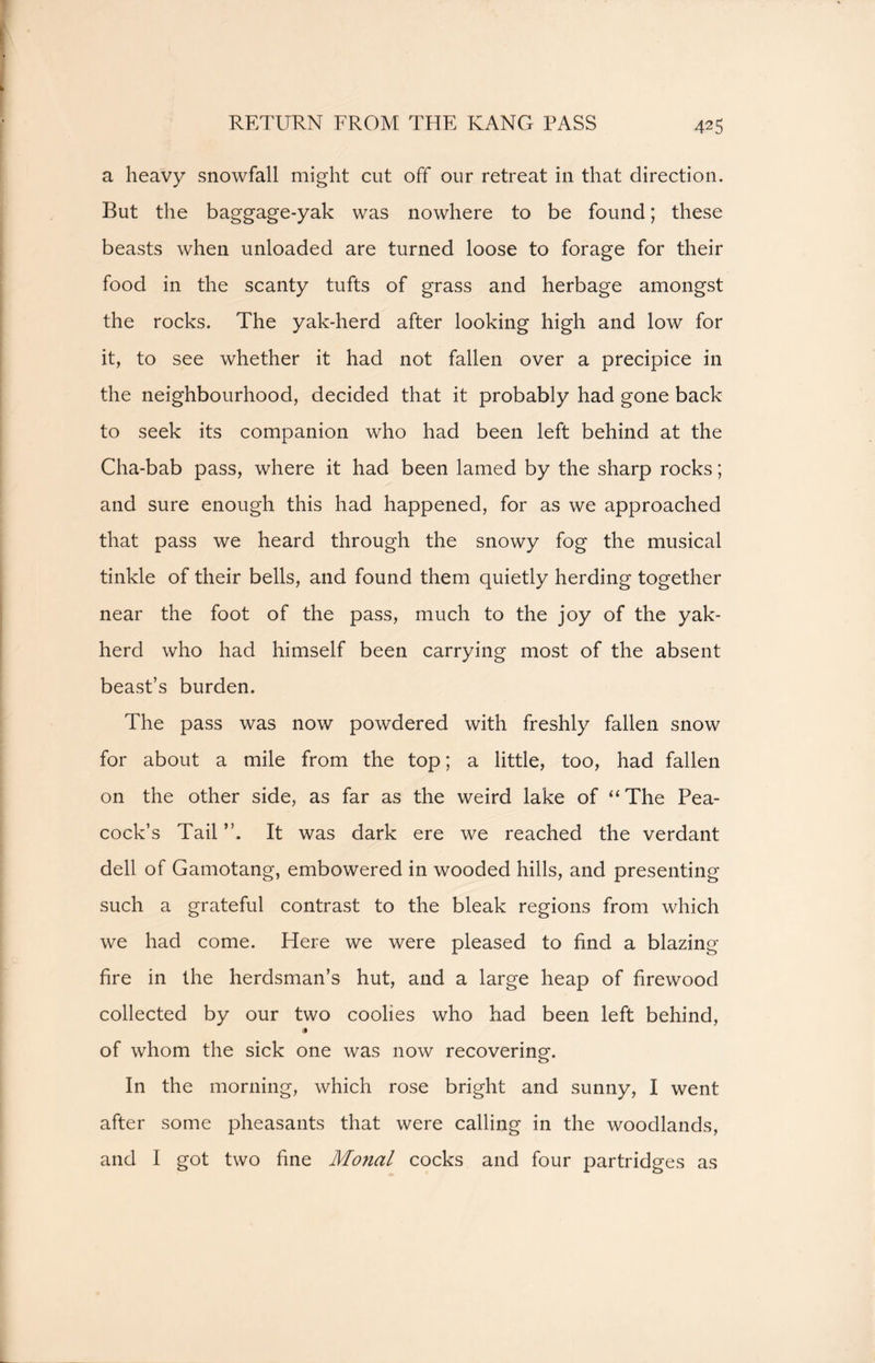 a heavy snowfall might cut off our retreat in that direction. But the baggage-yak was nowhere to be found; these beasts when unloaded are turned loose to forage for their food in the scanty tufts of grass and herbage amongst the rocks. The yak-herd after looking high and low for it, to see whether it had not fallen over a precipice in the neighbourhood, decided that it probably had gone back to seek its companion who had been left behind at the Cha-bab pass, where it had been lamed by the sharp rocks; and sure enough this had happened, for as we approached that pass we heard through the snowy fog the musical tinkle of their bells, and found them quietly herding together near the foot of the pass, much to the joy of the yak- herd who had himself been carrying most of the absent beast’s burden. The pass was now powdered with freshly fallen snow for about a mile from the top; a little, too, had fallen on the other side, as far as the weird lake of “The Pea- cock’s Tail It was dark ere we reached the verdant dell of Gamotang, embowered in wooded hills, and presenting such a grateful contrast to the bleak regions from which we had come. Here we were pleased to find a blazing- fire in the herdsman’s hut, and a large heap of firewood collected by our two coolies who had been left behind, of whom the sick one was now recovering. In the morning, which rose bright and sunny, I went after some pheasants that were calling in the woodlands, and I got two fine Monal cocks and four partridges as