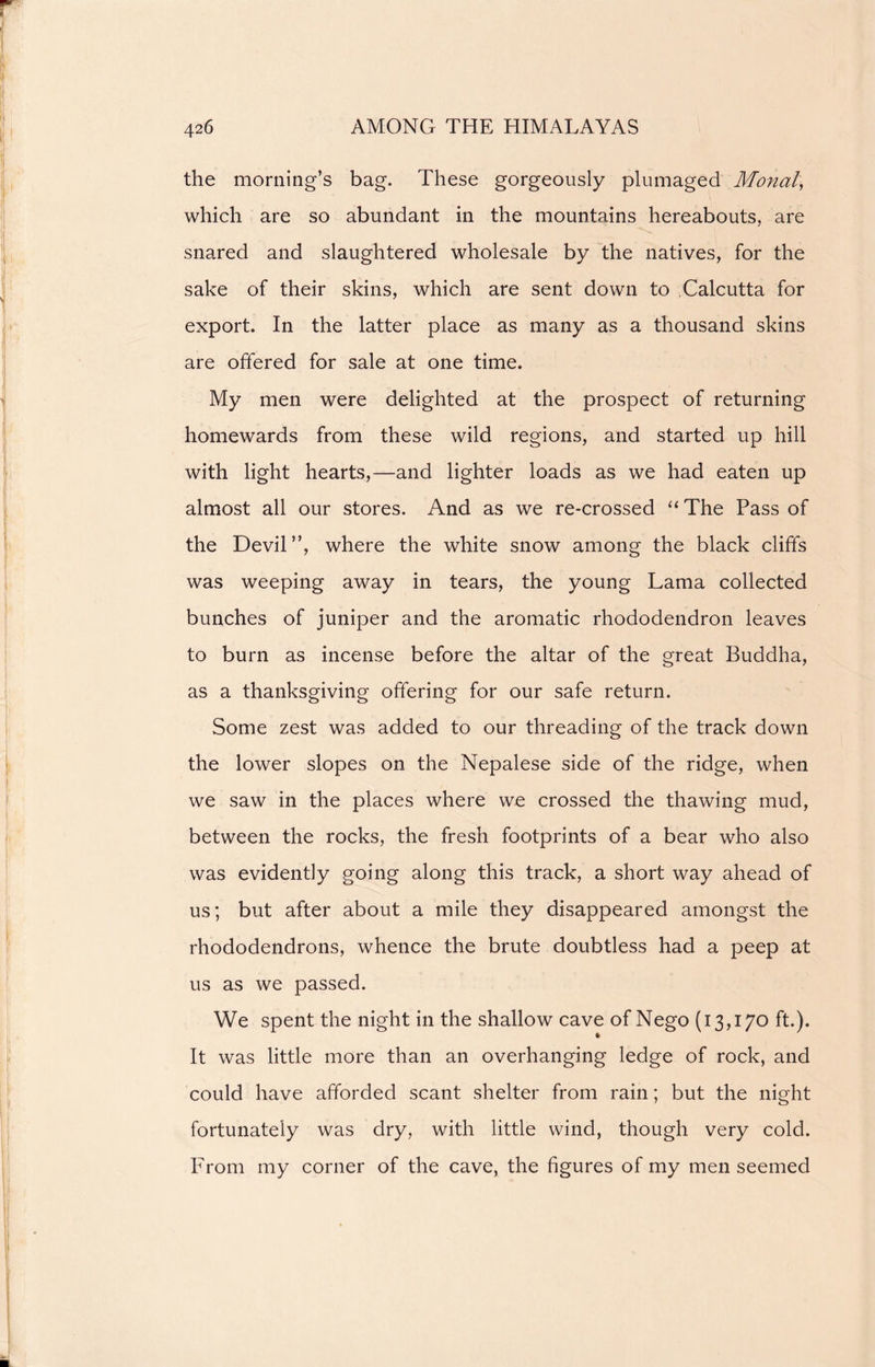 the morning’s bag. These gorgeously plumaged Mortal, which are so abundant in the mountains hereabouts, are snared and slaughtered wholesale by the natives, for the sake of their skins, which are sent down to Calcutta for export. In the latter place as many as a thousand skins are offered for sale at one time. My men were delighted at the prospect of returning homewards from these wild regions, and started up hill with light hearts,—and lighter loads as we had eaten up almost all our stores. And as we re-crossed “ The Pass of the Devil”, where the white snow among the black cliffs was weeping away in tears, the young Lama collected bunches of juniper and the aromatic rhododendron leaves to burn as incense before the altar of the great Buddha, as a thanksgiving offering for our safe return. Some zest was added to our threading of the track down the lower slopes on the Nepalese side of the ridge, when we saw in the places where we crossed the thawing mud, between the rocks, the fresh footprints of a bear who also was evidently going along this track, a short way ahead of us; but after about a mile they disappeared amongst the rhododendrons, whence the brute doubtless had a peep at us as we passed. We spent the night in the shallow cave of Nego (13,170 ft.). * It was little more than an overhanging ledge of rock, and could have afforded scant shelter from rain; but the night fortunately was dry, with little wind, though very cold. From my corner of the cave, the figures of my men seemed