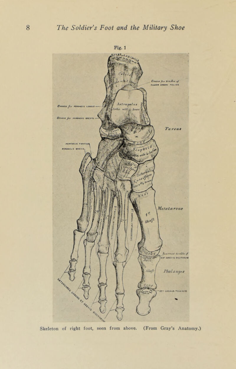 Fig. 1 Mttat<irx(i« I'halu iiijeji droat'* ^moMCcs lONCut 0-reM'€ J»r riiibNciis ««cvi« Civ«i* ftr wf »bLa»ll L*MOt fOU ClS 'I'a r4U9 U </ CX* inCVil DlCtTONUM