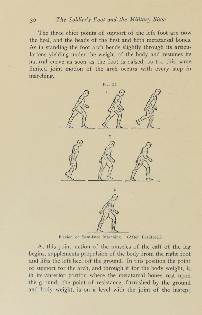 The three chief points of support of the left foot are now the heel, and the heads of the first and fifth metatarsal bones. As in standing the foot arch bends slightly through its articu- lations yielding under the weight of the body and resumes its natural curve as soon as the foot is raised, so too this same limited joint motion of the arch occurs with every step in marching. Fig. 21 s 3 Flexion or Bent-knee Marching. (After Bradford.) At this point, action of the muscles of the calf of the leg begins, supplements propulsion of the body from the right foot and lifts the left heel off the ground. In this position the point of support for the arch, and through it for the body weight, is in its anterior portion where the metatarsal bones rest upon the ground; the point of resistance, furnished by the ground and body weight, is on a level with the joint of the instep;