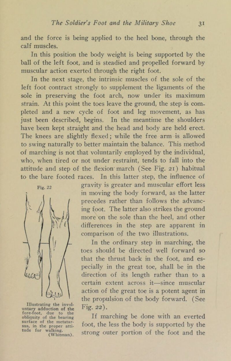 and the force is being applied to the heel bone, through the calf muscles. In this pK)sition the body weight is being supported by the ball of the left foot, and is steadied and propelled forward by muscular action exerted through the right foot. In the next stage, the intrinsic muscles of the sole of the left foot contract strongly to supplement the ligaments of the sole in preserving the foot arch, now under its maximum strain. At this point the toes leave the ground, the step is com- pleted and a new cycle of foot and leg movement, as has just been described, begins. In the meantime the shoulders have been kept straight and the head and body are held erect. The knees are slightly flexed; while the free arm is allowed to swing naturally to better maintain the balance. This method of marching is not that voluntarily employed by the individual, who, when tired or not under restraint, tends to fall into the attitude and step of the flexion’march (See Fig. 21) habitual to the bare footed races. In this latter step, the influence of gravity is greater and muscular effort less in moving the body forward, as the latter precedes rather than follows the advanc- ing foot. The latter also strikes the ground more on the sole than the heel, and other differences in the step are apparent in comparison of the two illustrations. In the ordinary step in marching, the toes should be directed well forward so that the thrust back in the foot, and es- pecially in the great toe, shall be in the direction of its length rather than to a certain extent across it—since muscular action of the great toe is a potent agent in the propulsion of the body forward. (See Illustrating the invol- XTCr,. untary adduction of the ”'S* 22^. fore-foot, due to the t r i i i i i obliquity of the bearing If marchiiig be done With an everted lu^i'n thVpro^f\*«V- foot, the less the body is supported by the tude for strong outer portion of the foot and the