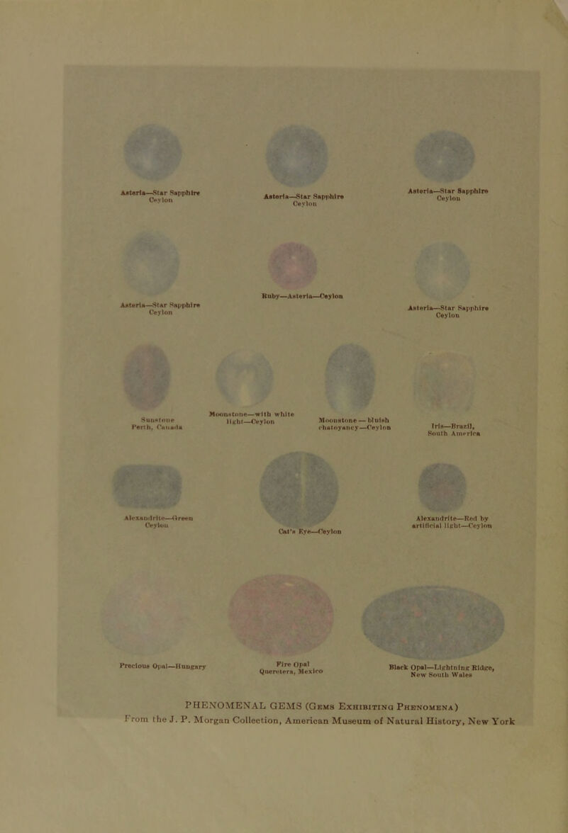 Astarts—Sur Sapphire C**.vlon AateHa—Star Sapphtra Caylou Aaterfa—Star Sapphlra Ceylon Aaterla—Star Sapphire Ceylon SuMflfoiie Penh, Canada Alexantliilo—Green Oyloii Precloue Opal—Hnn^ary Kuby—Aaterla—Ceylon Aaterla—Star Sapphire Ceylon Moonxtoiie—with white llxbi—Ceylon Mooiinlone —blnlnh rhalnyaiivy—Ceylon —Braxll, South Amerlrn Cnt'a Kye—Ceylon Alexandrite—Red by artlHrlal llebt—Ceylon PIre Or>»* Qnereiera, Mexico Black Opal—LUhtnini? Rldjre, New South Walea PHENOMENAL GEMS (Gems Exhibitinq Phenomena) From the J. P. Morgan Collection, American Museum of Natural History, New York