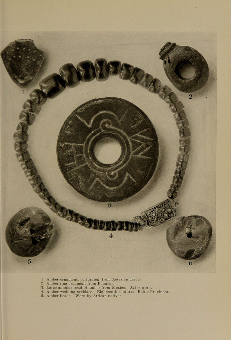 1. Amber ornament, perforated, from Assyrian grave. 2. Amber ring ornament from Pompeii. 3. Large annular bead of amber from Mexico. Aztec work. 4. Amber wedding necklace. Eighteenth century. Baltic Provinces. 5. Amber beads. Worn by African natives.