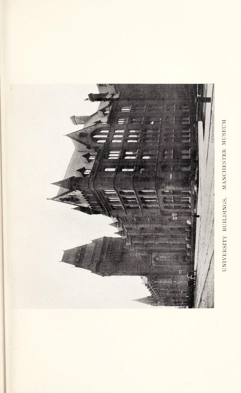 UNIVERSITY BUILDINGS. MANCHESTER MUSEUM