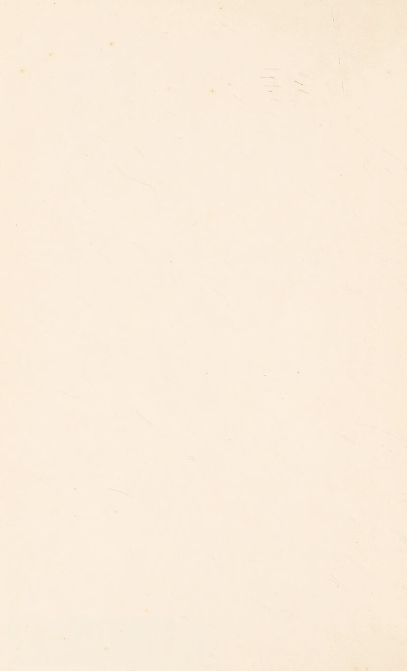 TV \ \ ■ 4d } V •s \ Ah '■% c \ ■% '3 X .Si • A ,' ■•.'t* • \ ;-:i i z*. -tS