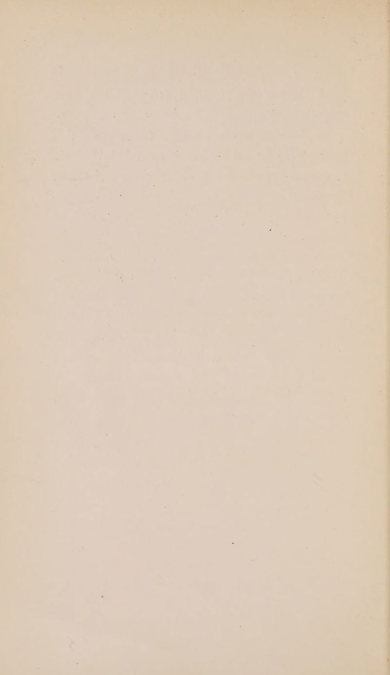 2 aye oa _ » e 2 ' ae irene i ia — > ate rare: