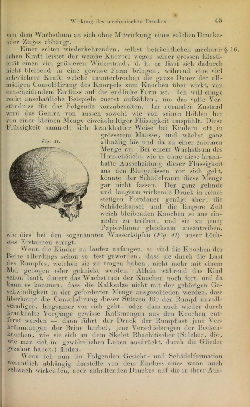 ^\’irkllng des inecliaiiiselien Druekes. von dem Wiichsthum nn sich ohne jMitwirkung eines sulehen Druckes oder Zimes nbliän<;t. O O Einer selten wiederkehrenden, seihst betriiehtlielien mechani-§. 10. sehen Kraft leistet der weielie Knorj)el we^en seiner grossen Klasti- cität einen viel grösseren '\^'iclerstand , d. li. er lässt sich dadurch nicht bleibend in eine gewisse Form bringen, während eine viel schwächere Kraft, welche ununterbrochen die ganze Dauer der all- inäligen Consolidirung des Knor])els zuin Knochen über wirkt, von entscheidendem Einfluss auf die endliche Form ist. Icli Avill einige recht anschaiilichc Beis])iele zuerst aufzählen , um das vplle Ver- ständniss für das Folgende vorzuberciten. Im normalen Zustand wird das (lehirn von aussen sowohl wie von seinen Höhlen her von einer kleinen IMenge ciweisshaltiger Flüssigkeit ums])ühlt. Diese Flüssigkeit sammelt sicli krankhafter A\ eise bei Kindern oft .in grösserem IMaassc, und wächst ganz allmälig hie und da zu einer enormen jMcnge an. Hei einem AVachsthum des llirnschädels, Avic cs ohne diese krank- dieser Flüssigkeit hafte Ausscheiduim aus den Blutgefässen vor sicli geht, könnte der Schädclraum diese Menge irelinde gar nicht fassen. Der ffanz und langsam wirkende Druck in seiner stetigen Fortdauer genügt aber, die Scbädelka])scl und die längere Zeit Aveich bleibenden Knochen so aus ein- ander zu treiben, und sic zu jener Hapierdünnc gleichsam auszutreiben, Avic dies bei den sogenannten AV'asscrköpfen {Fi<j. 41) unser höch- stes Erstaunen erregt. AN enn die Kinder zu laufen anfangen, so sind die Knochen der Beine allerdings schon so fest gCAvorden , dass sie durch die Last des Kumpfes, Avelchen sic zu tragen haben , nicht mehr mit einem Mal gebogen oder geknickt Averden. Allein Avährend das Kind schon läuf t, dauert das A\ achsthum der Knochen noch fort, und da kann es kommen, dass die Kalksalze nicht mit der frchöri<ren Ge- schAvindi<;keit in der o'cforderten jMen<;c ausfreschieden Averden, dass Überhaupt die Consolidirung dieser Stützen für den Rumjif unvoll- ständiger, langsamer vor sich geht, oder dass auch Avieder durcli krankhafte Vori2:än<jc «'•CAvissc Kalkmcnr(cn aus den Knochen ent- fernt Averden — dann führt der Druck der Rumpflast jene A'er- krüinmungen der Beine herbei, jene A erscliiebungcn der Bccken- knochen, Avic sie sich an dem Skelet Rhachitischer (Solcher, die, ■ie man sich im geAvöhnlichen Lehen ausdrückt, durch die Cilieder gezahnt haben,) finden. A\’enn ich nun im FoKenden Gesiclit- und Schädelformation o 'vescntlich abhängig darstellc von dem Einfluss eines Avenn auch scliAvach Avirkenden, aber anhaltenden Druckes auf die in ihrer Aus- i