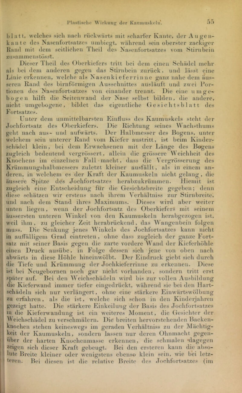 IM.Mstisflio Wirkinij' der Kaiiniuskcln'. welches sich naeli riiekMÜrts mit scliarfer Kante, der Auü'cn- kantc des Naseulortsatzcs umbie^t, wälirend sein ol)erster zackiger Rand mit dem seitlichen Theil des Nasenfortsatzes vom Stirnbein znsammenstösst. Dieser Theil des Oberkiefers tritt bei dem einen Schädel mehr als bei dem anderen gegen das Stirnbein zurück, und lässt eine Linie erkennen, welche als Nasenkieferrinne ganz nahe dem äus- seren Rand des birnförmitien Ausschnittes ausläuft und zwei Por- tionen des Nasenfortsatzes von einander trennt. Die eine u nitre- bogen hilft die Seitenwand der Nase selbst bilden, die andere, nicht umgebogene, bildet das eigentliche (i e s i e h t s b 1 a 11 des Fortsatzes. Unter dem unmittelbarsten Einfluss des Kaumuskels steht der dochfortsatz des Oberkiefers. Die Richtung seines Wachsthums «reht nach aus- und aufwärts. Der Halbmesser des Hojrens, unter welchem sein unterer Rand vom Kiefer austritt, ist beim Kinder- schädel klein, bei dem Erwachsenen mit der Länge des Rogens zugleich bedeutend vergrössert, allein O O Knochens im einzelnen Fall macht, dass die die grössere Weichheit des Vergrösserung des , als in einem an- Krümmungshalbmcsscrs zuletzt kleiner ausi deren, in welchem es der Kraft der Kaumuskeln nicht gelang , die äussere Sjiitze dCs Jochfortsatzes herabzukrümmen. Hiemit ist zugleich eine Entscheidung für die Gesichtsbreite gegeben; denn diese schätzen wir erstens nach ihrem Verhältniss zur Stirnbreite, und nach dem Stand ihres jMaximums. Dieses wird aber weiter unten liegen, wenn der »lochfortsatz des Oberkiefers mit seinem äussersten unteren AVinkel von den Kaumuskeln herabgezogen ist. weil ihm. zu gleicher Zeit herabrückend, das ^^^lngenbein folgen muss. Die Senkung jenes ^^Tnkcls des Jochfortsatzes kann nicht in auflälligem Grad cintreten, ohne dass zugleich der ganze Fort- is gegen die zarte vordere Wand der Kieferhöhle Satz mit seiner Basis einen Druck ausübc, in Folge dessen sich jene von oben nach abwärts in diese Höhle hineinwölbt. Der Eindruck giebt sich durch die Tiefe und Krümmung der Jochkiel'errinne zu erkennen. Diese ist bei Neugebornen noch gar nicht vorhanden, sondern tritt erst später auf. Bei den Weichschädeln wird bis zur vollen Ausbildung die Kieferwand immer tiefer eingedrückt, während sie bei den Hart- schädeln sich nur verlängert, ohne eine stärkere Einwärtswölbung zu eiTahren, als die ist, welche sich schon in den Kinderjahren gezeigt hatte. Die stärkere Einkeilung der Basis des Jochfortsatzes in die Kieferwandung ist ein weiteres jMoment, die Gesichter der eichschädel zu verschmälern. Die breiten hervorstehenden Backen- knochen stehen keineswegs im geraden Verhältniss zu der Mächtig- keit der Kaumuskeln, sondern lassen nur deren Ohnmacht gegen- über der harten Knochenmasse erkennen, die schmalen •dagegen zeigen sich dieser Kraft gebeugt. Bei den ersteren kann die abso- lute Breite kleiner oder wenigstens ebenso klein sein, wie bei letz- teren, Bei diesen ist die relative Breite des Jochfortsatzes (im J