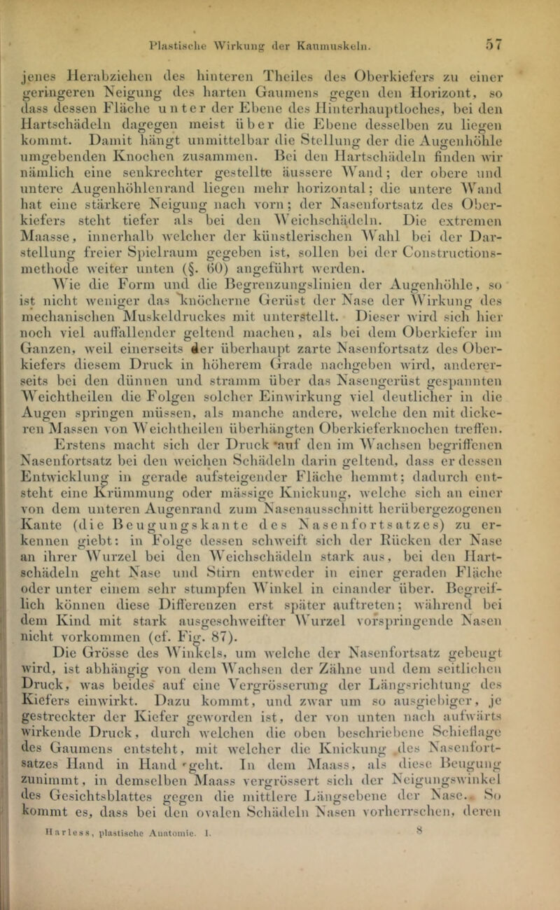 jenes Jleiabziehen des hinteren Tlieiles des Oberkiefers zn einer geringeren Neigung des harten Gaumens gegen den Horizont, so dass dessen Fläche unter der Kbene des liinterhau]»tloches, bei den Hartschädeln dagegen meist über die Ebene desselben zu liegen kommt. Damit hängt unmittelbar die Stellung der die Augenhöhle umgebenden Knochen zusammen. Bei den Hartschädeln finden wir nämlich eine senkrechter gestellte äussere Wand; der obere und untere Augenhöhlenrand liegen mehr liorizontal; die untere Wand hat eine stärkere Neigung nach vorn; der Nasenfortsatz des Ober- kiefers steht tiefer als bei den Weichschädeln. Die extremen Waasse, innerhalb Avelchcr der künstlerischen AVbihl bei der Dar- stellung freier Spielraum gegeben ist, sollen bei der Constructions- methode Aveiter unten (§. (50) angcfülirt Averden. AVie die F orm und die Begrcnzungslinien der Augenliöhle, so ^ ^ . O O ^ ist nicht Aveniger das knöcherne Gerüst der Nase der AVirkung des xnechaiiisclien MuskeUlruckes mit unterstellt. Dieser Avird sicli hier noch viel auftällendcr geltend machen, als bei dem Oberkiefer im Ganzen, Aveil einerseits der überhaupt zarte Nasenfortsatz des Ober- kiefers diesem Druck in liölierem Grade nacligeben Avird, anderer- seits bei den dünnen und stramm über das Nasengerüst ges])annten AA eichtheilen die Folgen solcher EiiiAvirkung viel deutlicher in die Augen springen müssen, als manche andere, Avclche den mit dicke- ren Massen von AVeichtheilen überhängten Oberkieferknoclien trefi'en. Erstens macht sich der Druck ‘auf den im AVachsen begriffenen Nasenfortsatz bei den Aveichen Schädeln darin geltend, dass erdessen EntAvicklung in gerade aufsteigender Fläche hemmt; dadurch ent- steht eine Krümmung oder mässige Knickung, Avelchc sich an einer von dem unteren Augenrand zum Nasenausschnitt lierübcrgezogenen Kante (die Beugungskante des N a se n fo r t s a t z e s) zu er- kennen giebt; in Folge dessen sclnveift sich der Rücken der Nase an ihrer AWirzel bei den AA'eiclischädcln stark aus, bei den Hart- schädeln geht Nase und Stirn entAveder in einer geraden Fläche oder unter einem sehr stumpfen AVinkel in einander über. Begreif- lich können diese Differenzen erst später auftreten; Avährend bei ij dem Kind mit stark ausgeschAveifter Wurzel vofspringende Nasen Ij nicht Vorkommen (cf. Fig. 87). ' Die Grösse des AVinkcls, um Avelche der Nasenfortsatz gebeugt ' Avird, ist abhängig von dem AA'achsen der Zähne und dem seitlichen ( Druck, Avas beides' auf eine A'ergrösserung der Längsriclitung des l Kiefers eiiiAvirkt. Dazu kommt, und ZAvar um so ausgiebiger, je 1 gestreckter der Kiefer geAvorden ist, der Aon unten nach aulAvärts • AV’irkende Druck, durch Avelchen die oben bescliriebcne Schieffage des Gaumens entsteht, mit Avelchcr die Knickung ,des Nasenfort- ‘ Satzes Hand in Hand ••geht, ln dem Alaass, als diese Beugung ' zunimmt, in demselben Maass vergrössert sich der NcigungsAvinkel j des Gesichtsblattes gegen die mittlere Eängsebene der Nase.. So I' kommt es, dass bei den ovalen Schädeln Nasen vorherrschen, deren Harless, plastische Anatomie. I. S